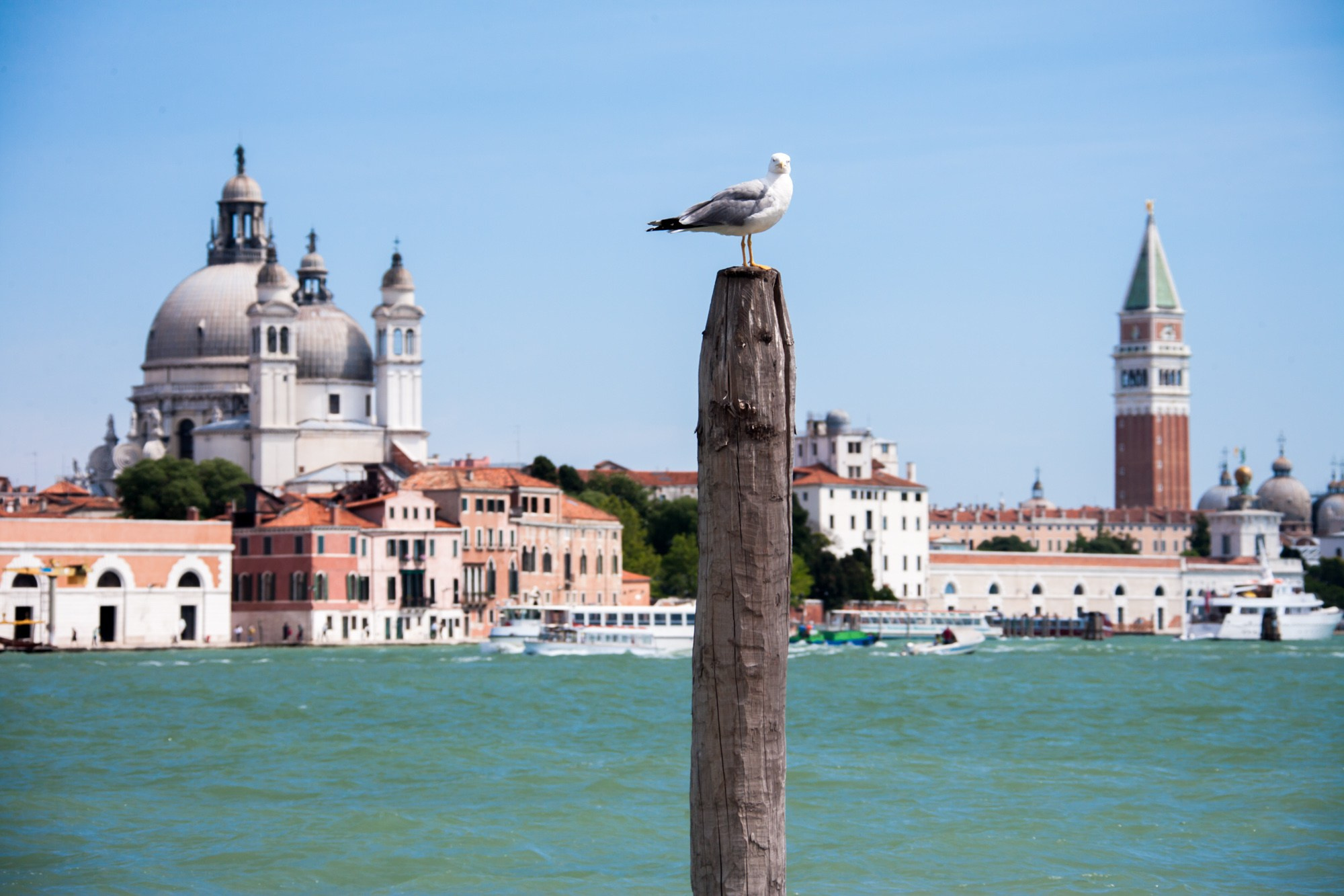 Фотограф Алексей Скоробогатько
