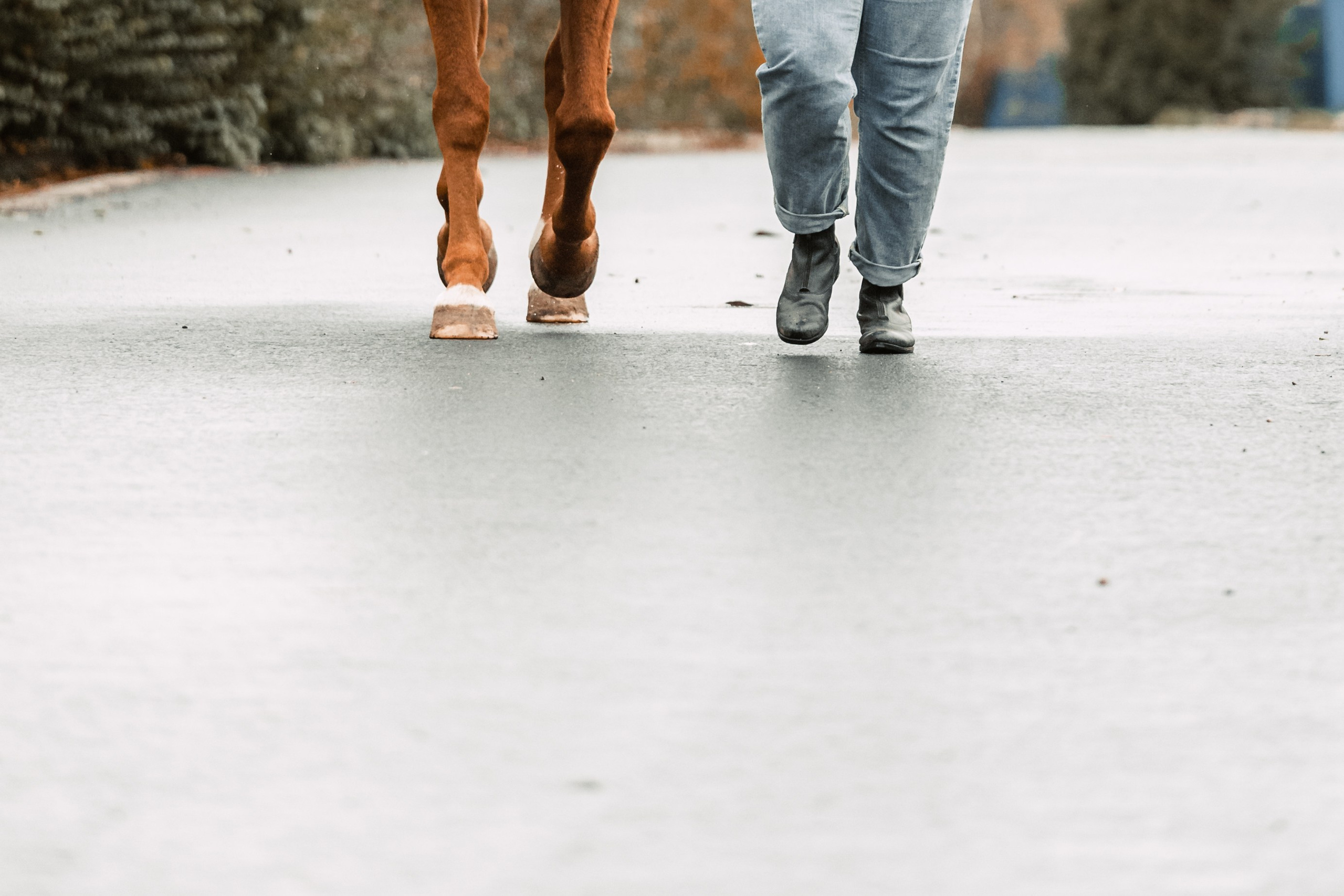 Лена и Рэджи. Фотограф-анималист Татьяна Степанова