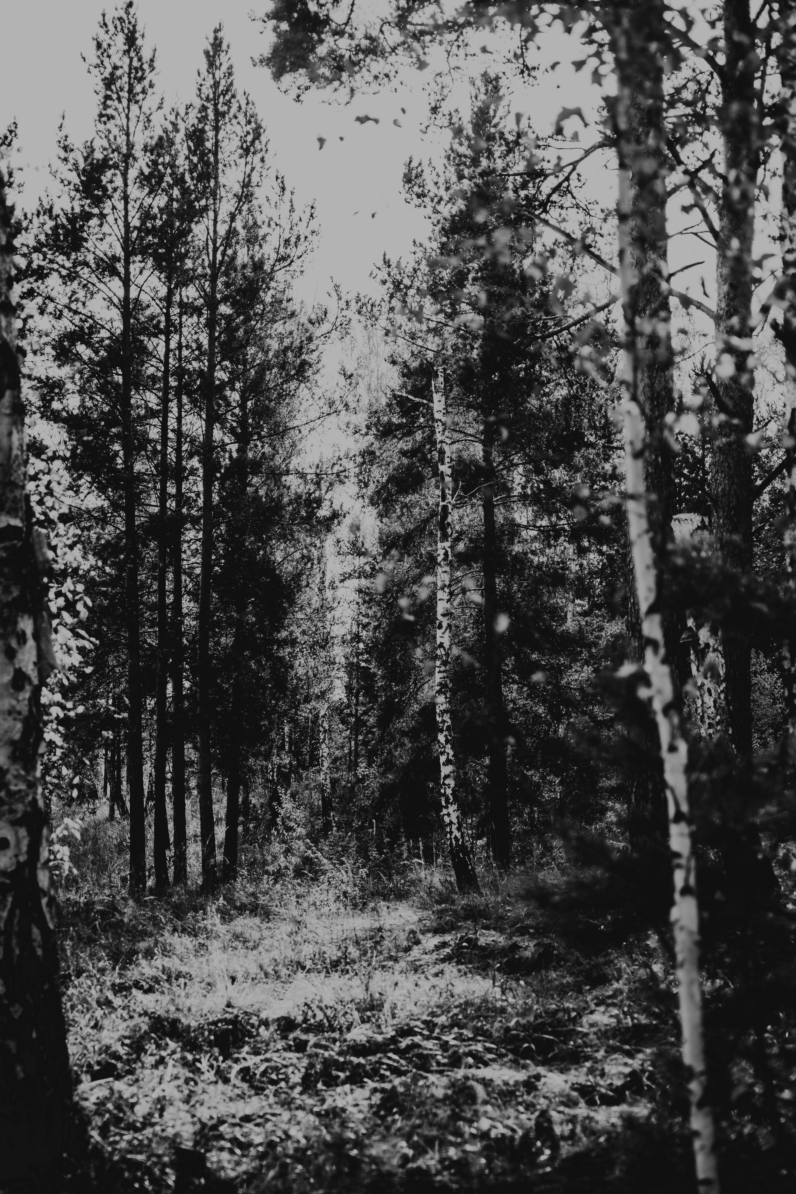 Exit or Escape. Whoii art