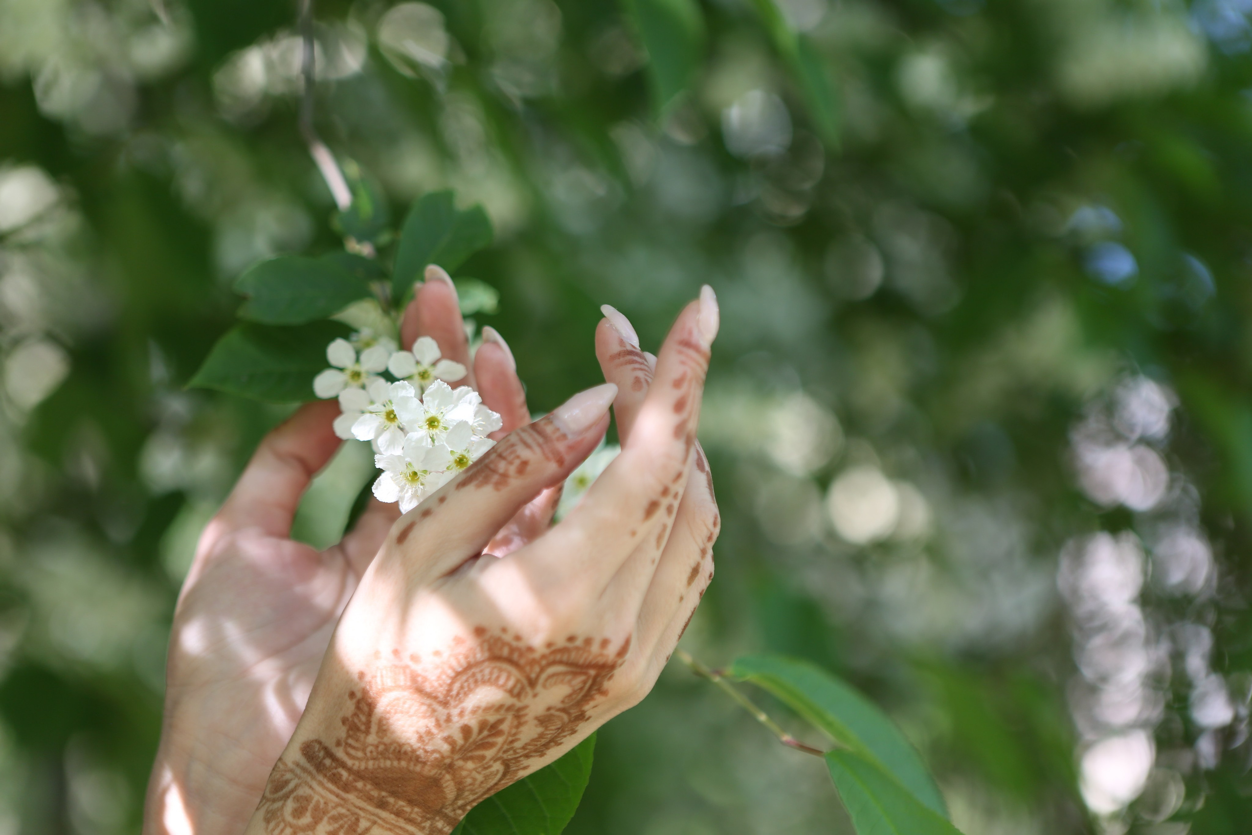 Прогулка в сари. Фотограф в Санкт-Петербурге. Индивидуальная съемка и фотопрогулки