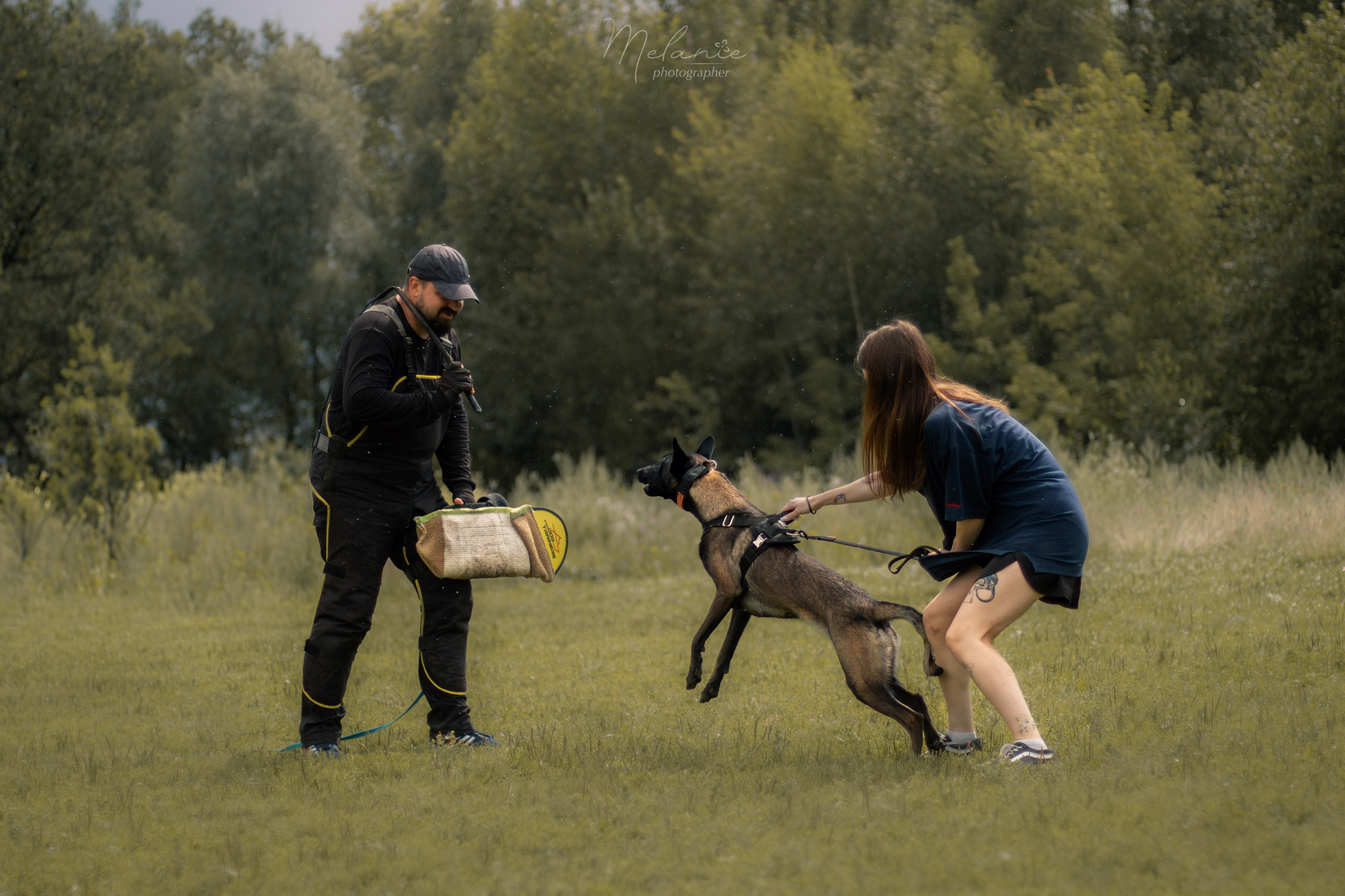 Собака в спорте. Фотограф-анималист в Москве Дорн Мелани