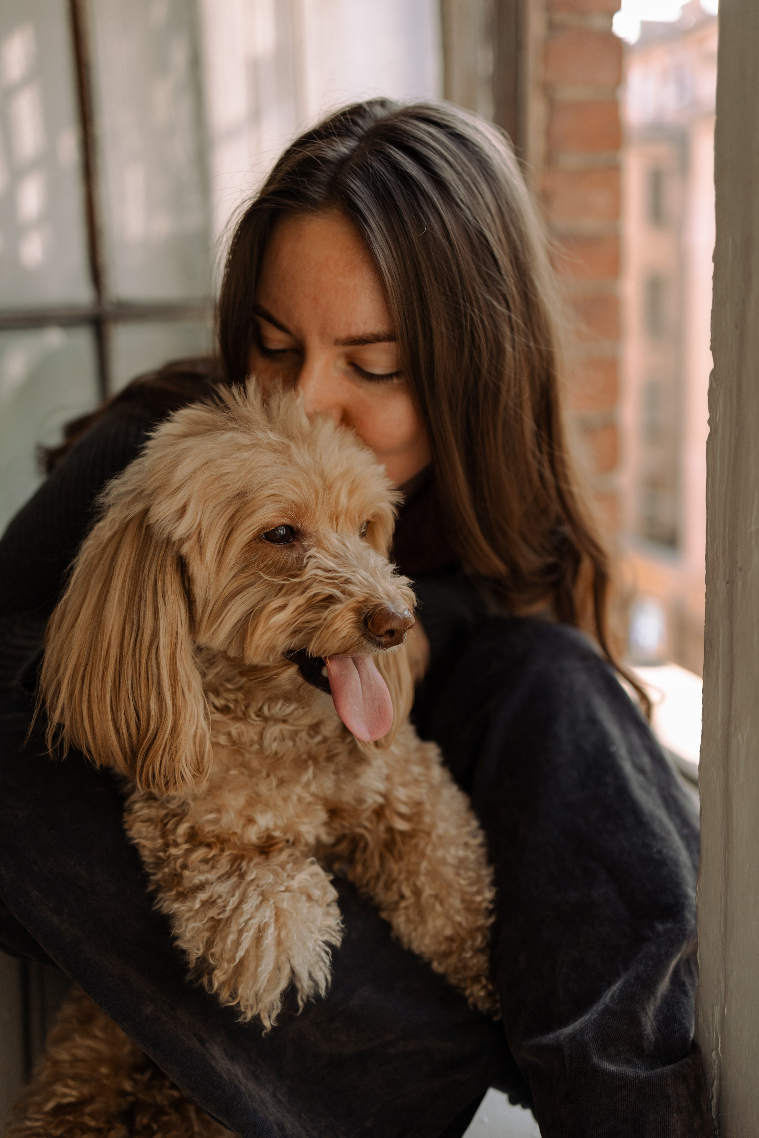 Шкипер и его семья. Фотограф — Анималист | Санкт-Петербург