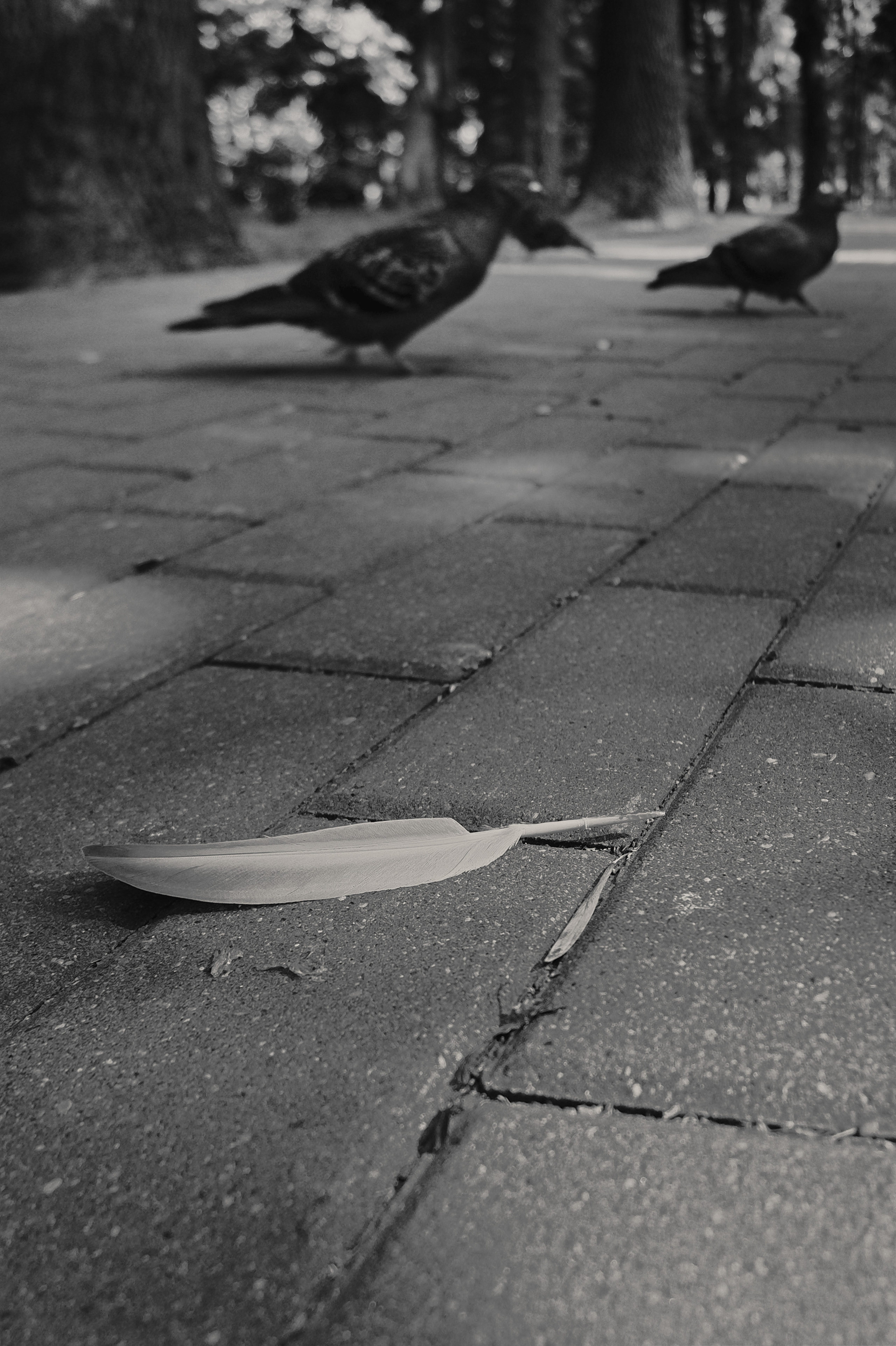 Street photo. Фотограф (photographer) Lischinski Vitaliy