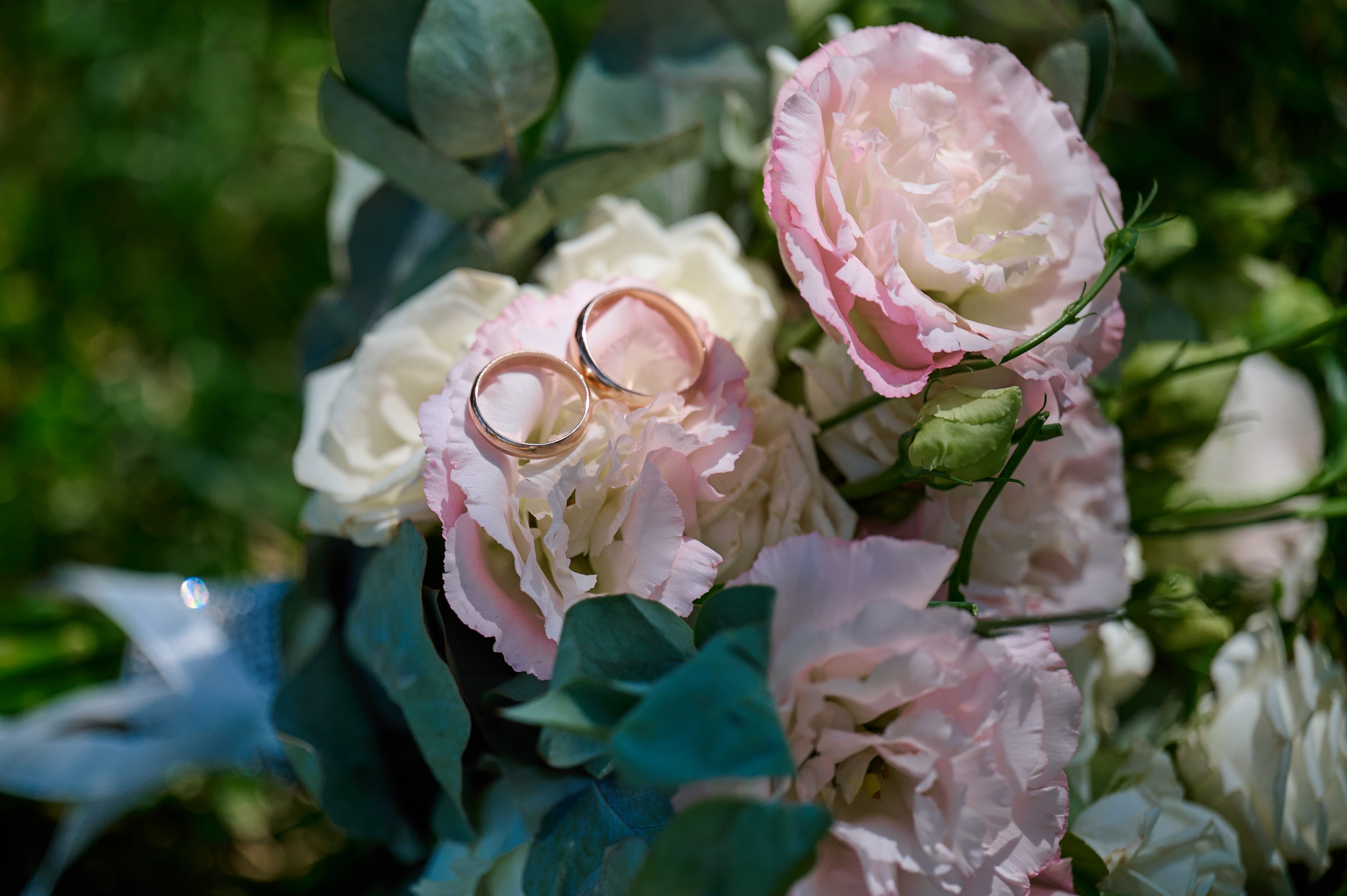 Александр и Екатерина. Свадебный, семейный фотограф в Краснодаре