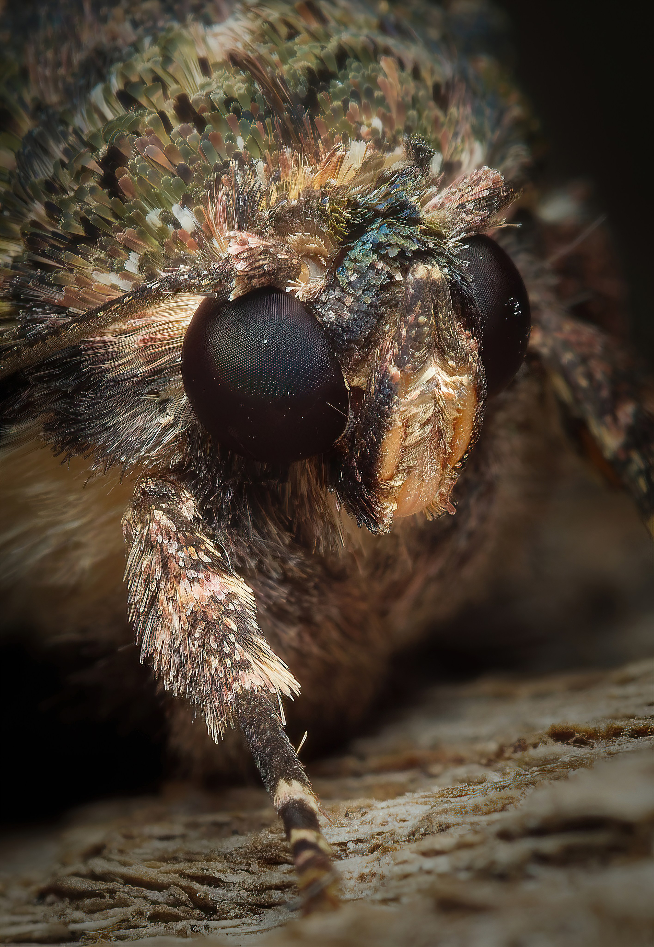 Остальные. Oles Paritskiy