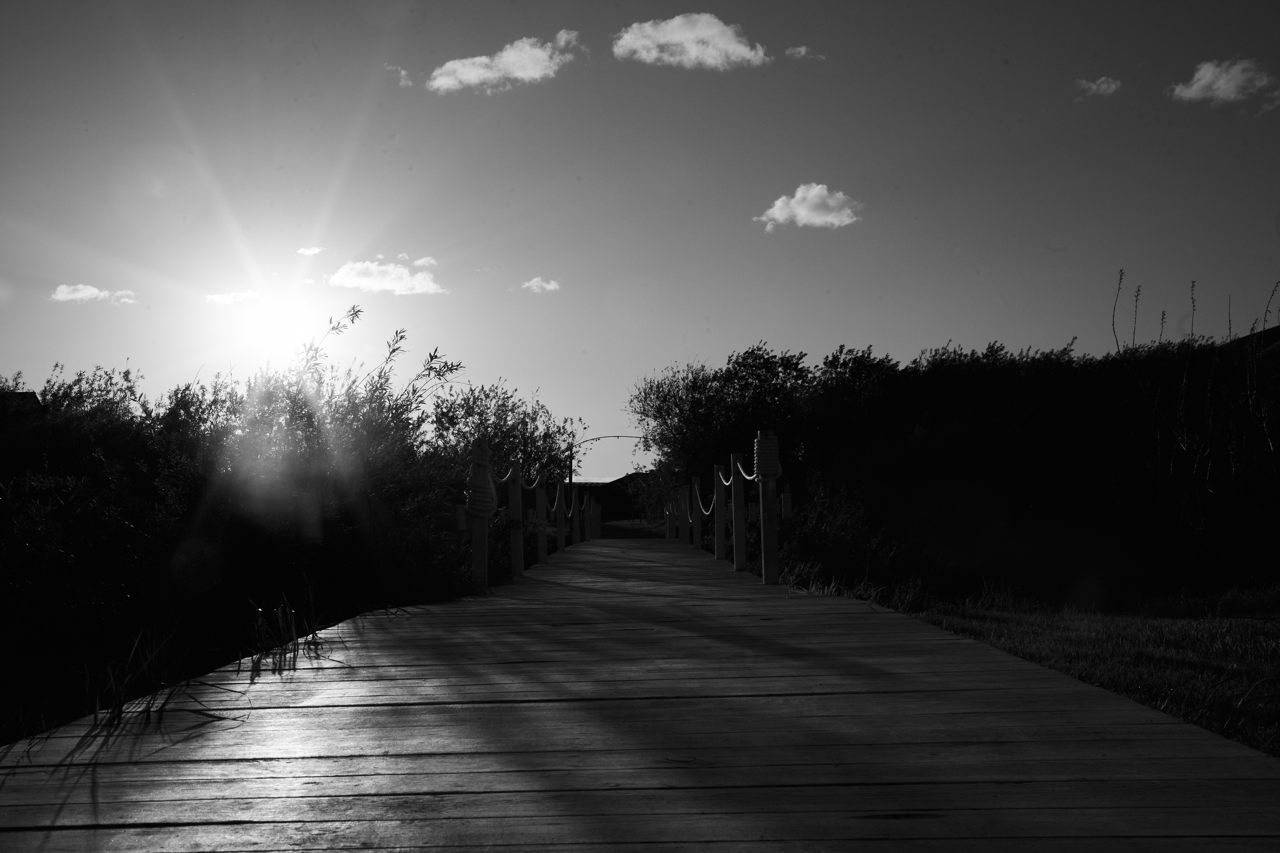 Свадебные фото в Красноярске. Свадебный и семейный фотограф в Красноярске Владимир Ятмасов
