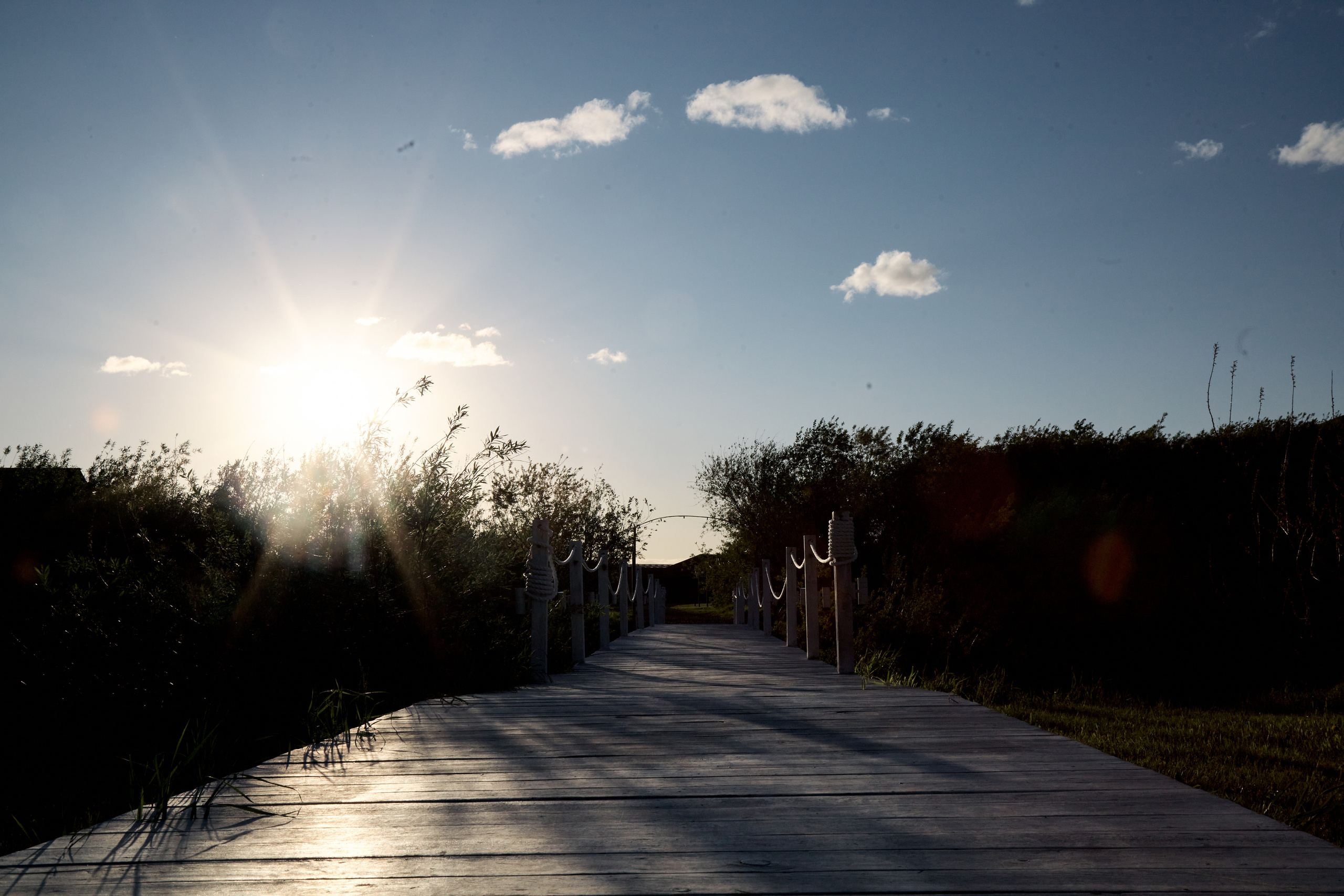 Свадебные фото в Красноярске. Свадебный и семейный фотограф в Красноярске Владимир Ятмасов