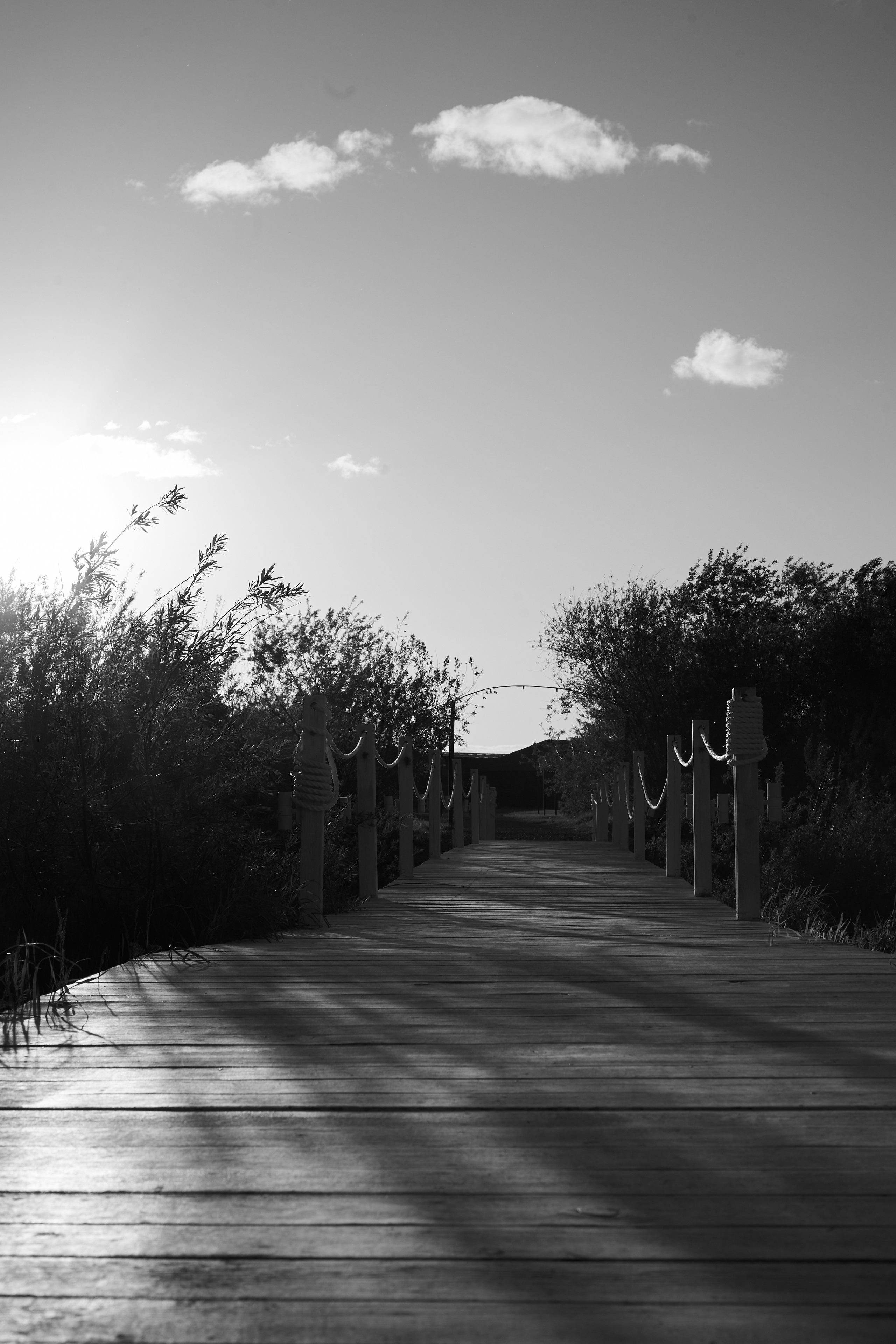 Свадебные фото в Красноярске. Свадебный и семейный фотограф в Красноярске Владимир Ятмасов