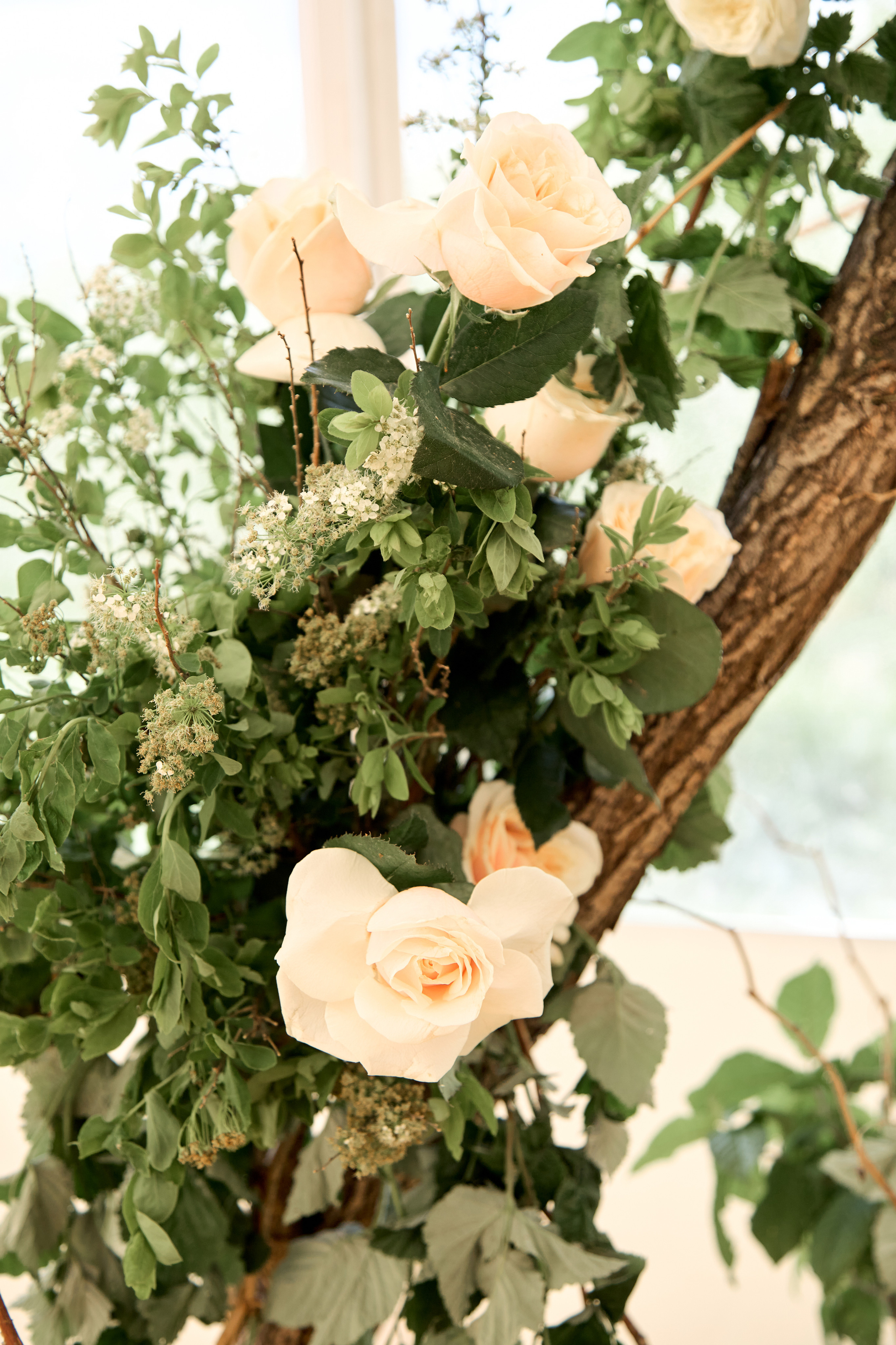 Свадебные фото в Красноярске. Свадебный и семейный фотограф в Красноярске Владимир Ятмасов