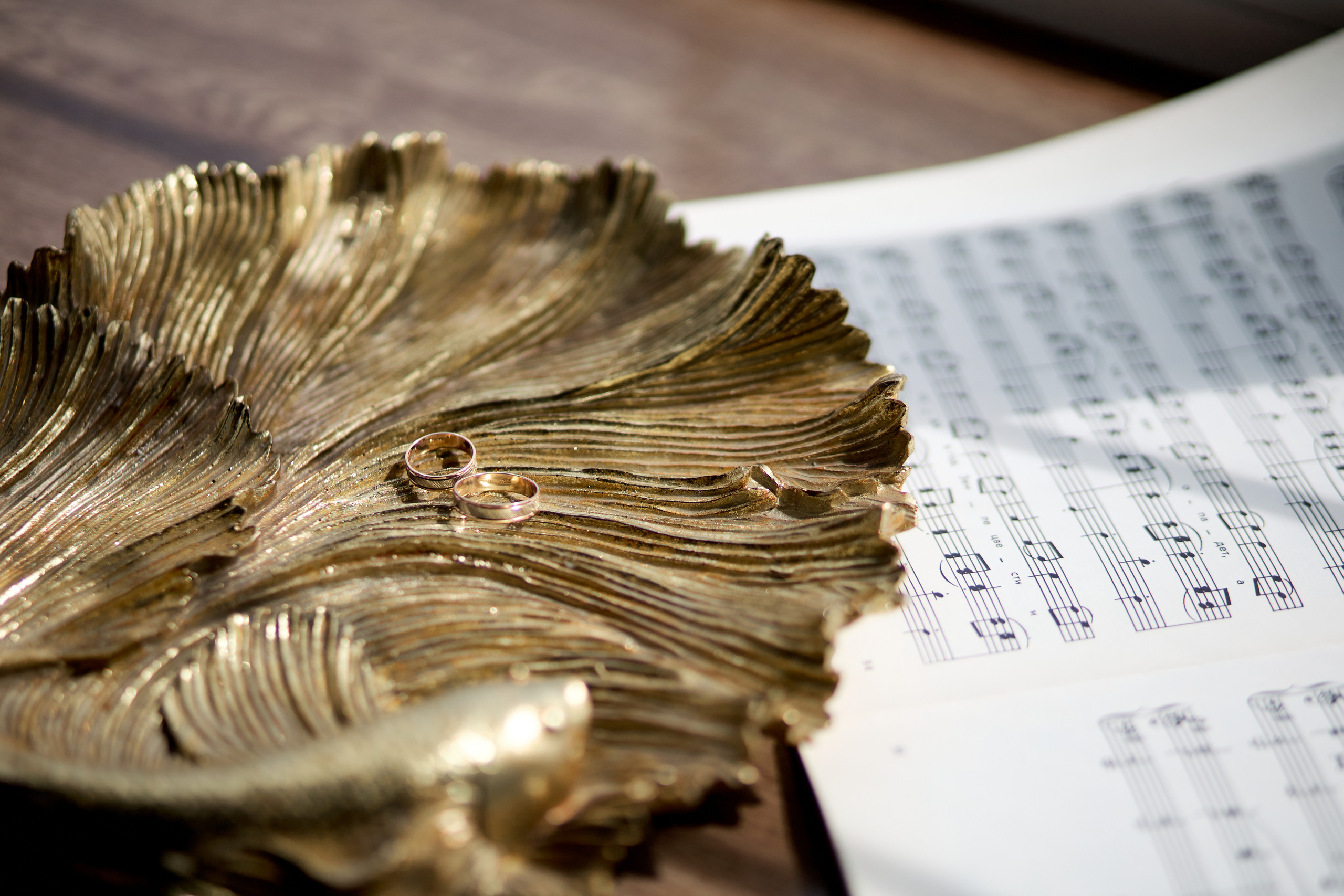 Свадебные фото в Красноярске. Свадебный и семейный фотограф в Красноярске Владимир Ятмасов