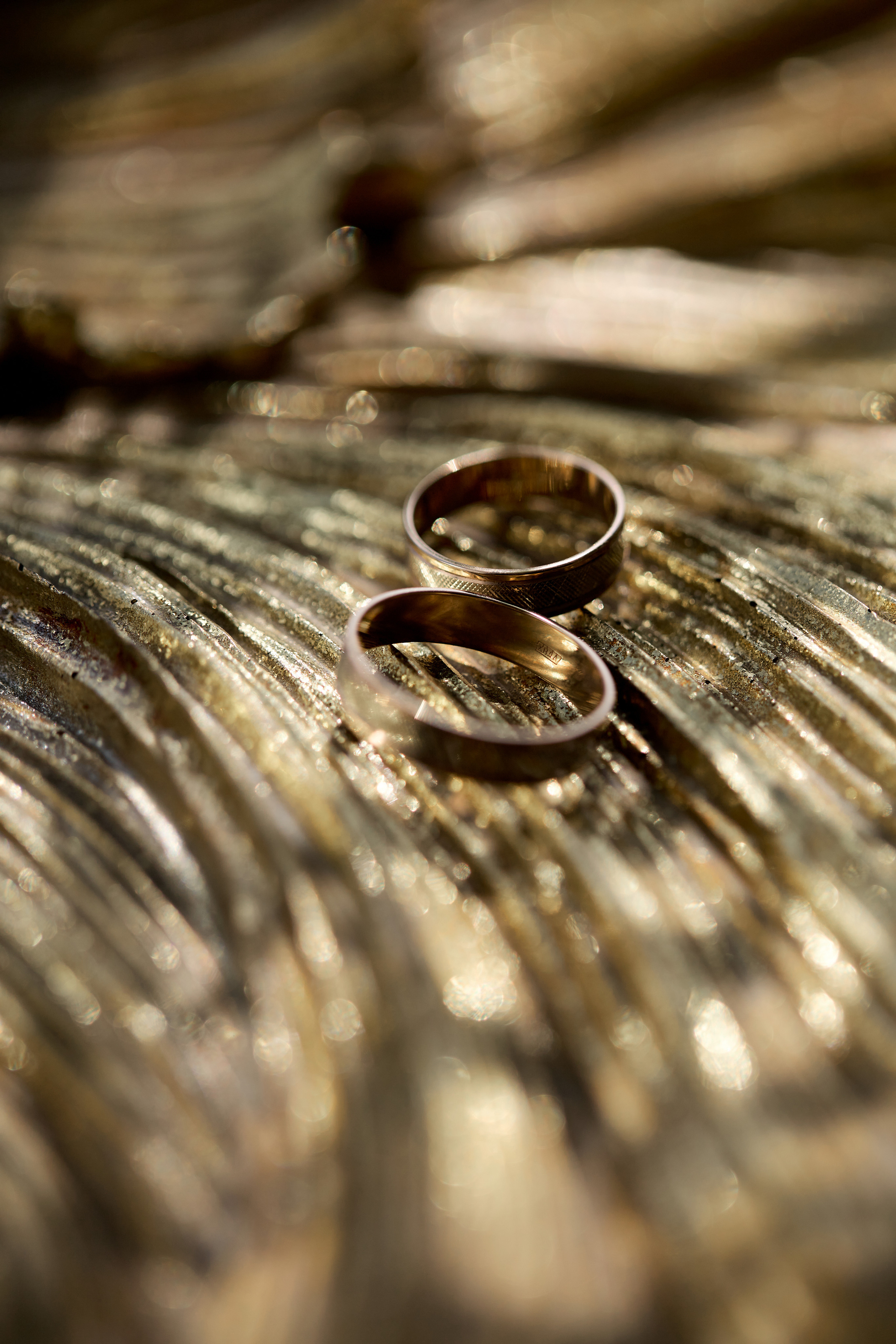 Свадебные фото в Красноярске. Свадебный и семейный фотограф в Красноярске Владимир Ятмасов