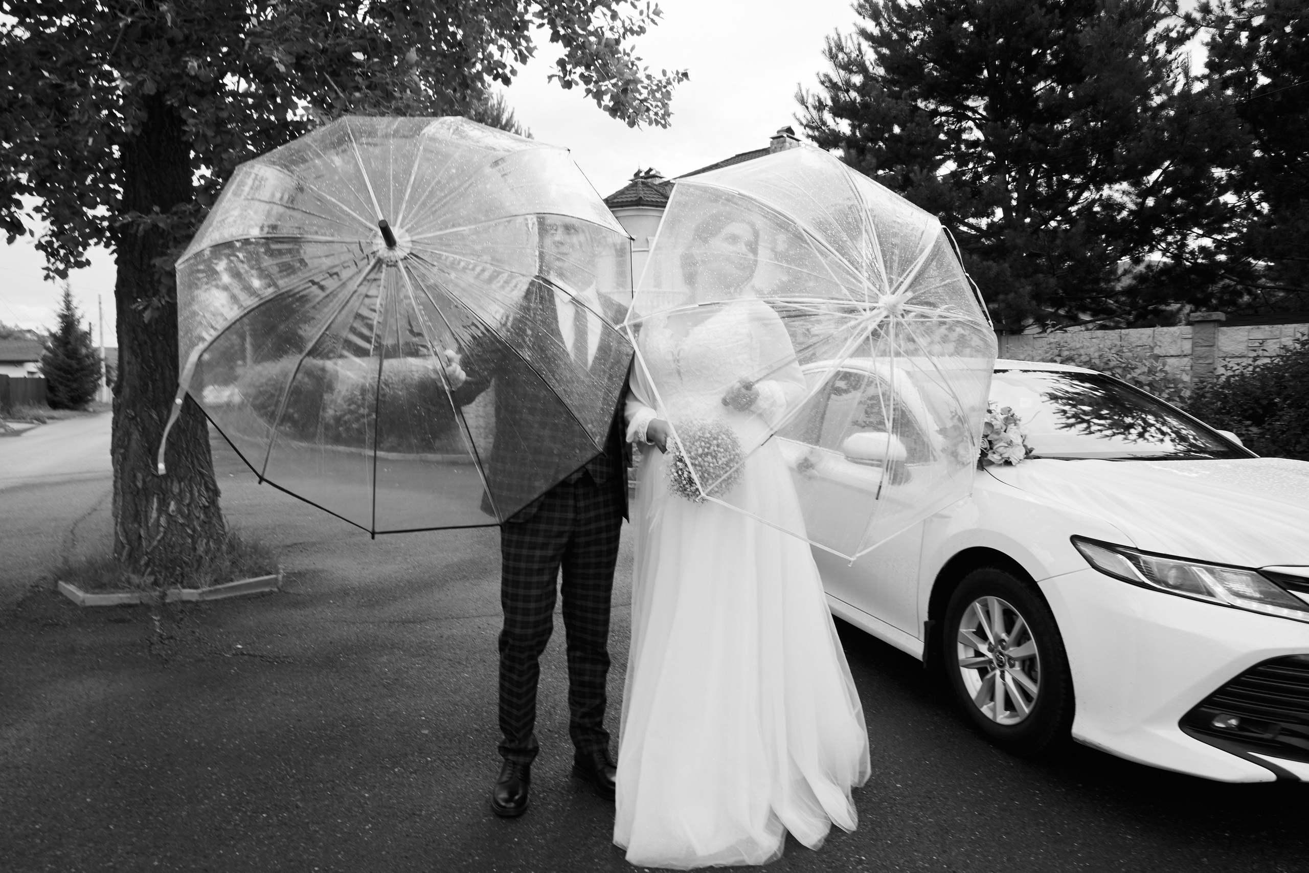 Свадебные фото в Красноярске. Свадебный и семейный фотограф в Красноярске Владимир Ятмасов