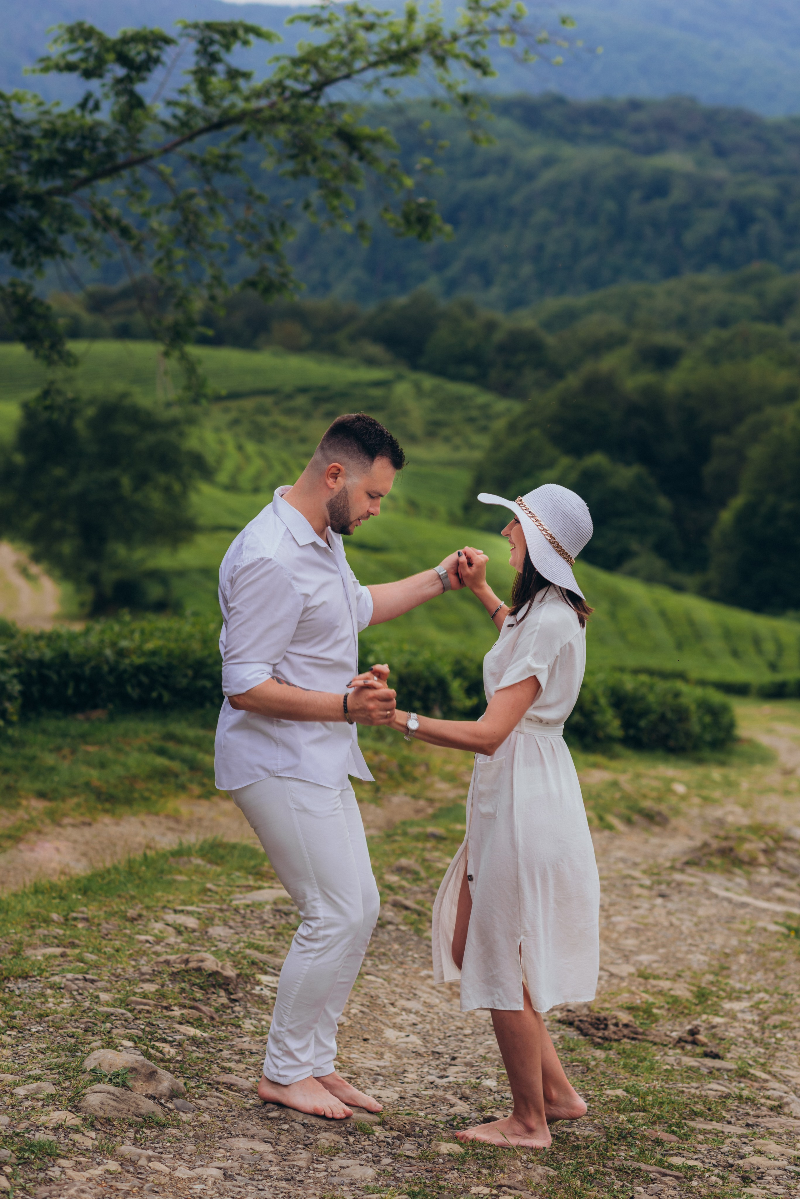 Чайные плантации. Фотограф Диана Вальтер