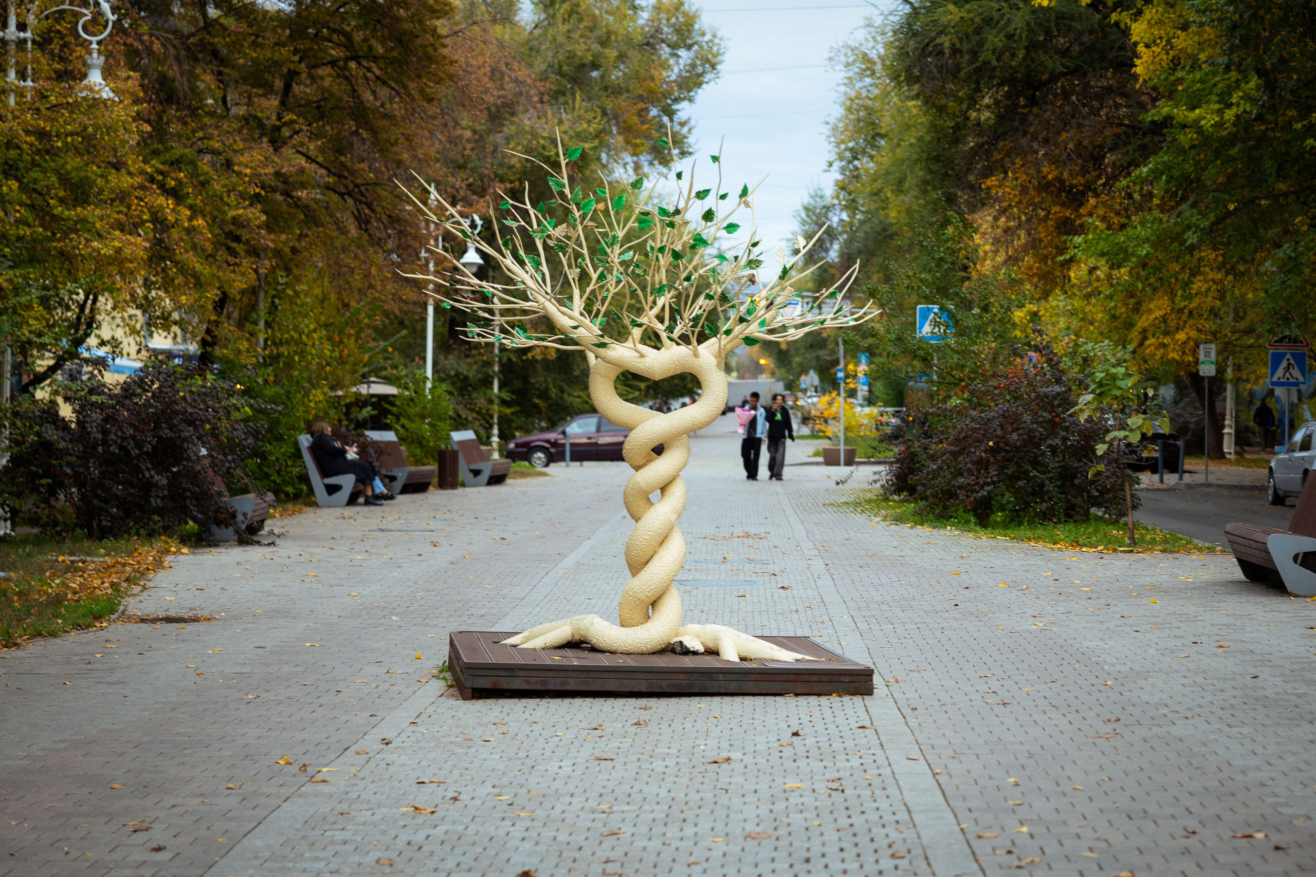 Казахстан (осень 2024). Фотограф Виноградов Константин