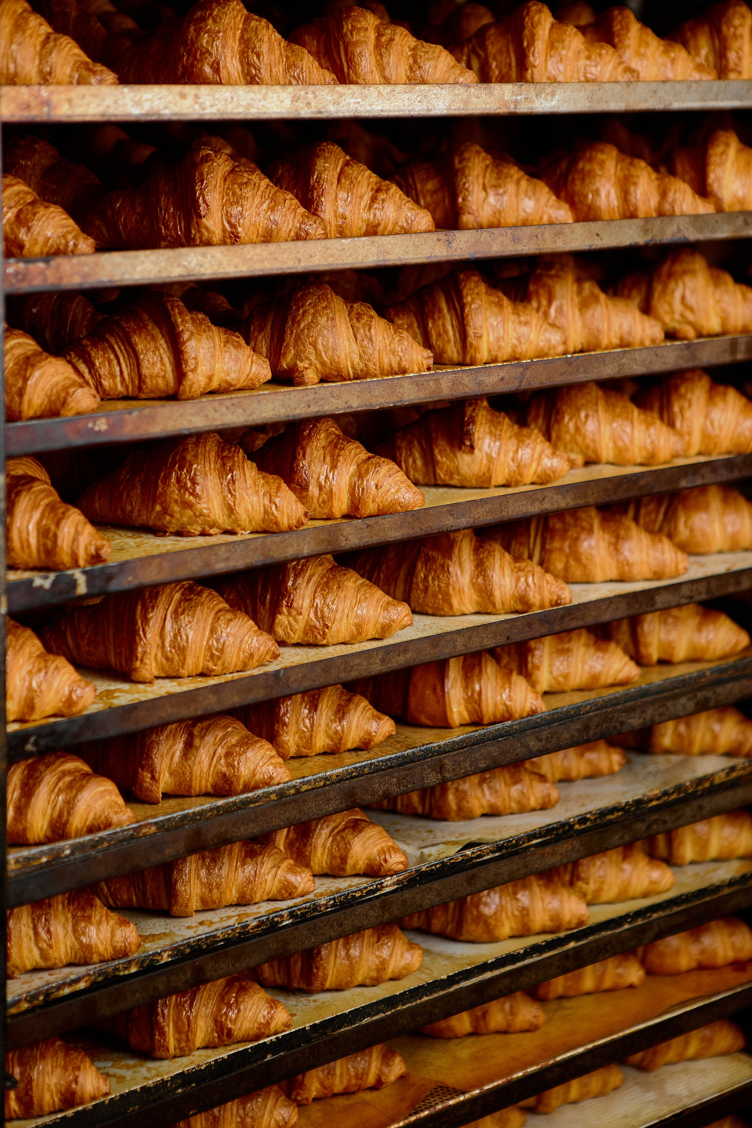 Контент съемка для социальных сетей. Фотограф Желтухин Андрей в Петрозаводске, СПб и Москве