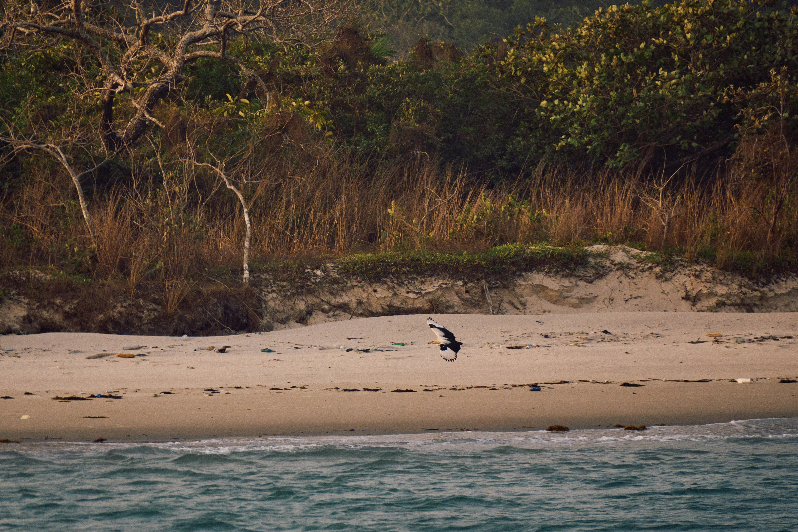 Archipelago Bissagos. See the moment and catche. commercial and reportage