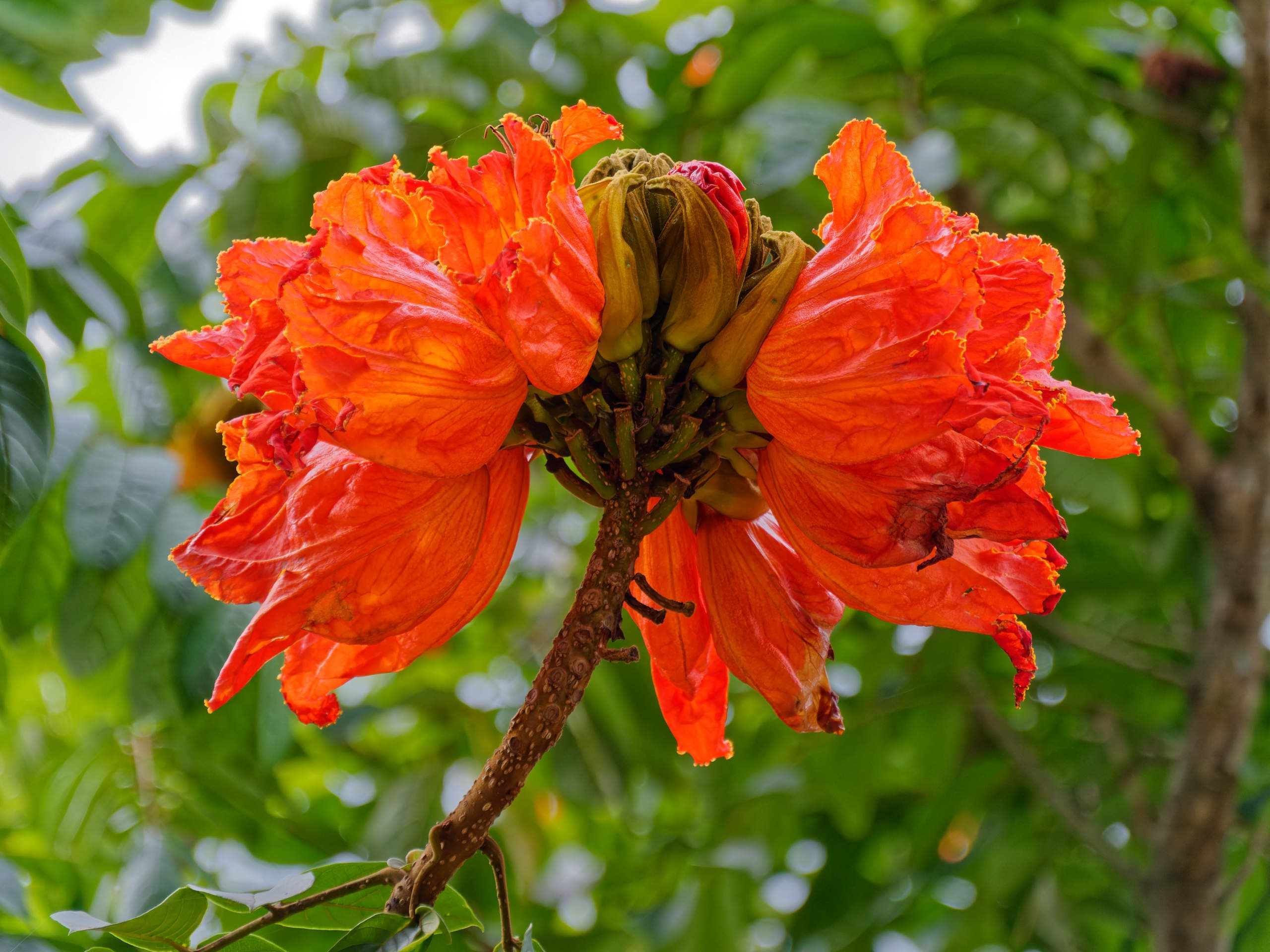 Далат 2023. Избранные фотографии