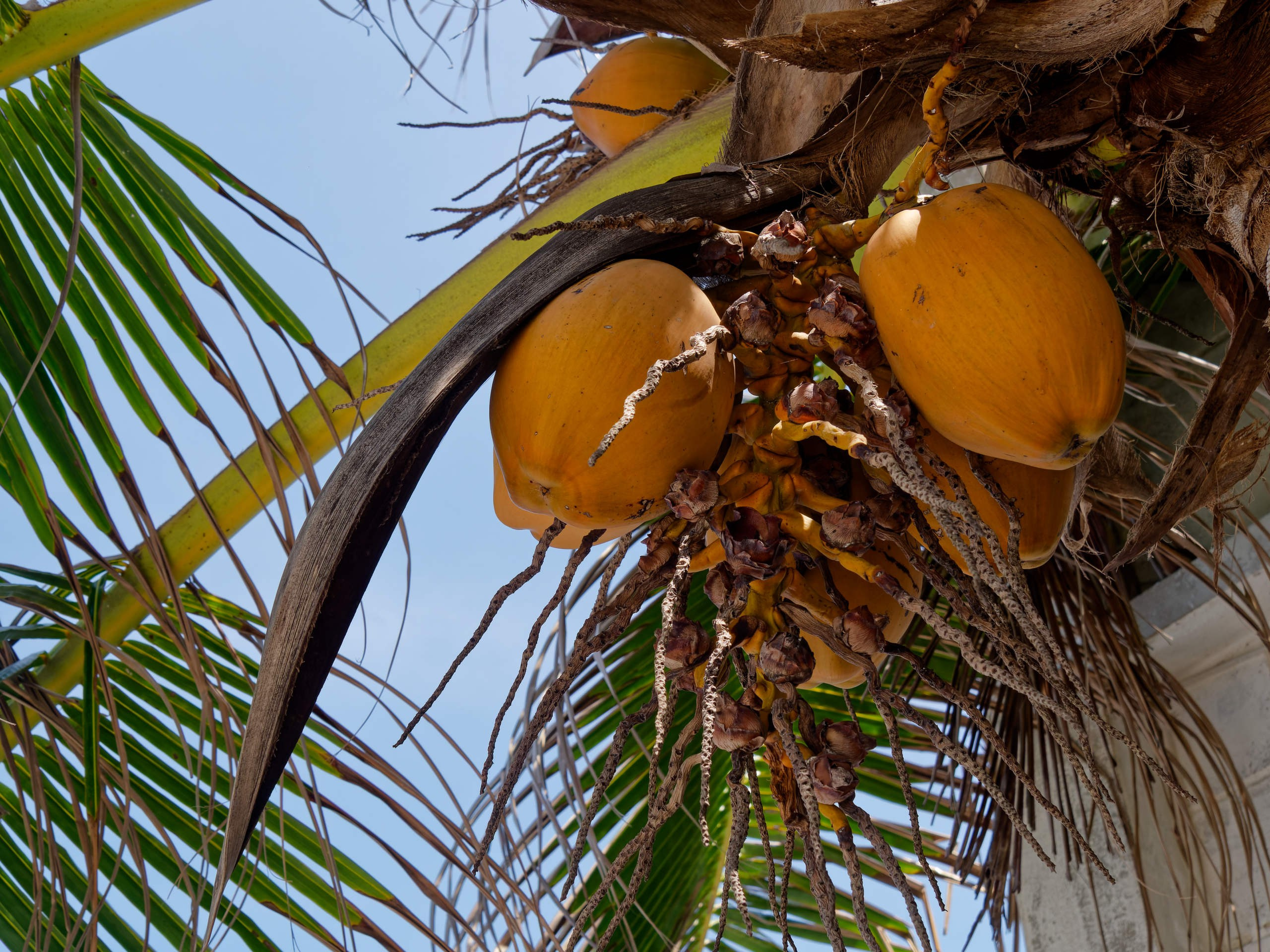 Нячанг 2025 (6). Избранные фотографии