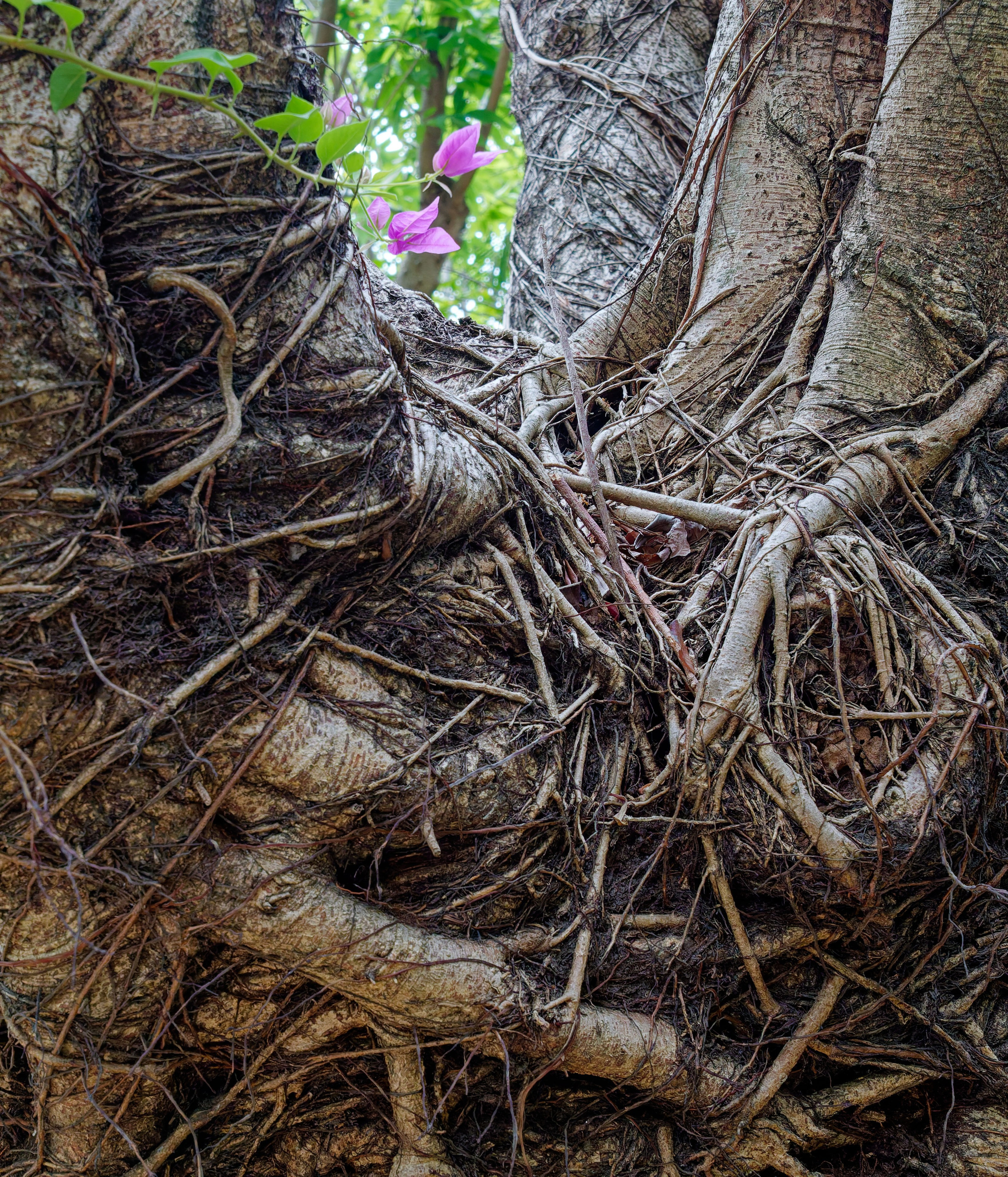 Хайнань 2026, улицы Ялунвань и Саньи. Фотопрогулки по Миру