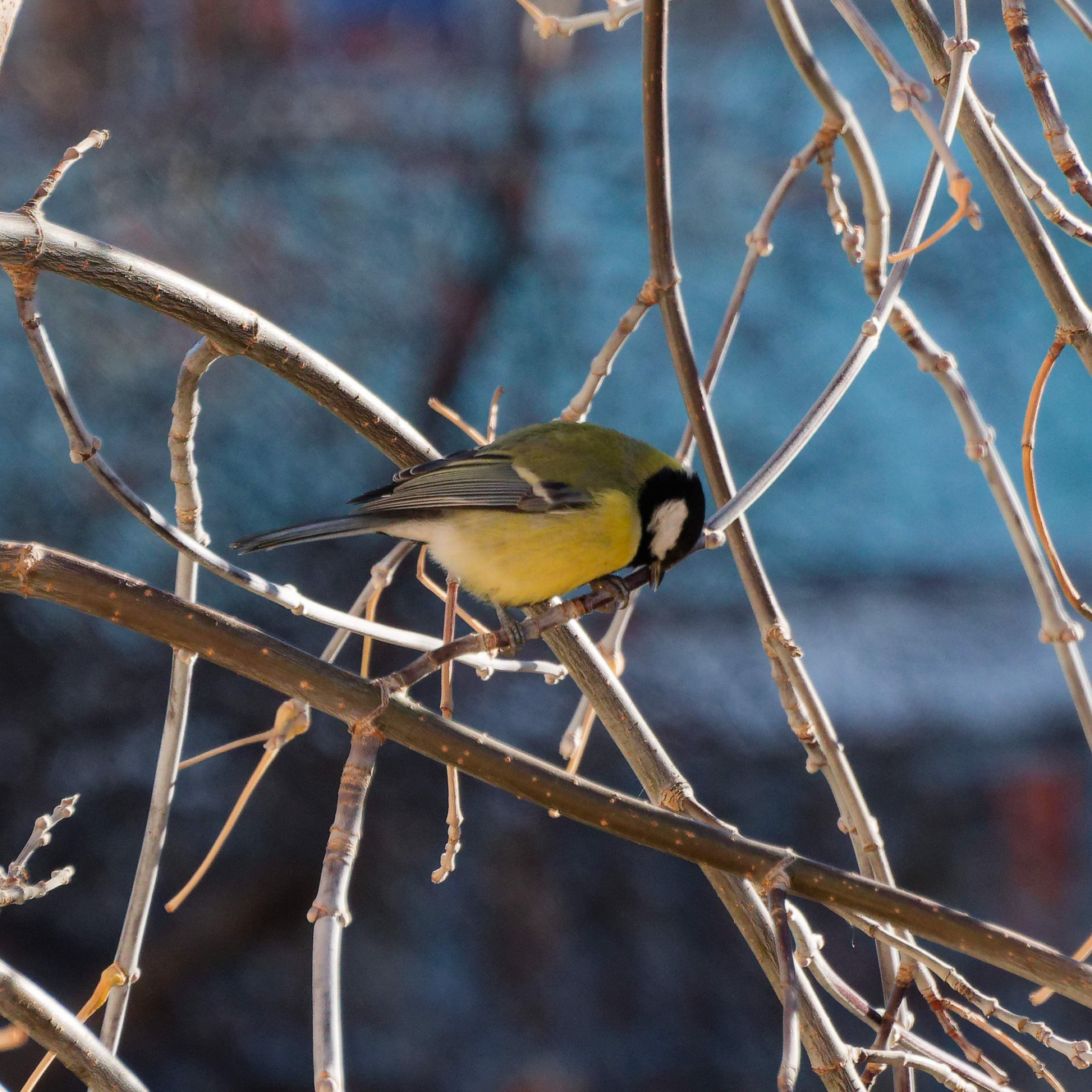 Боровое 2023 (из архива). Избранные фотографии