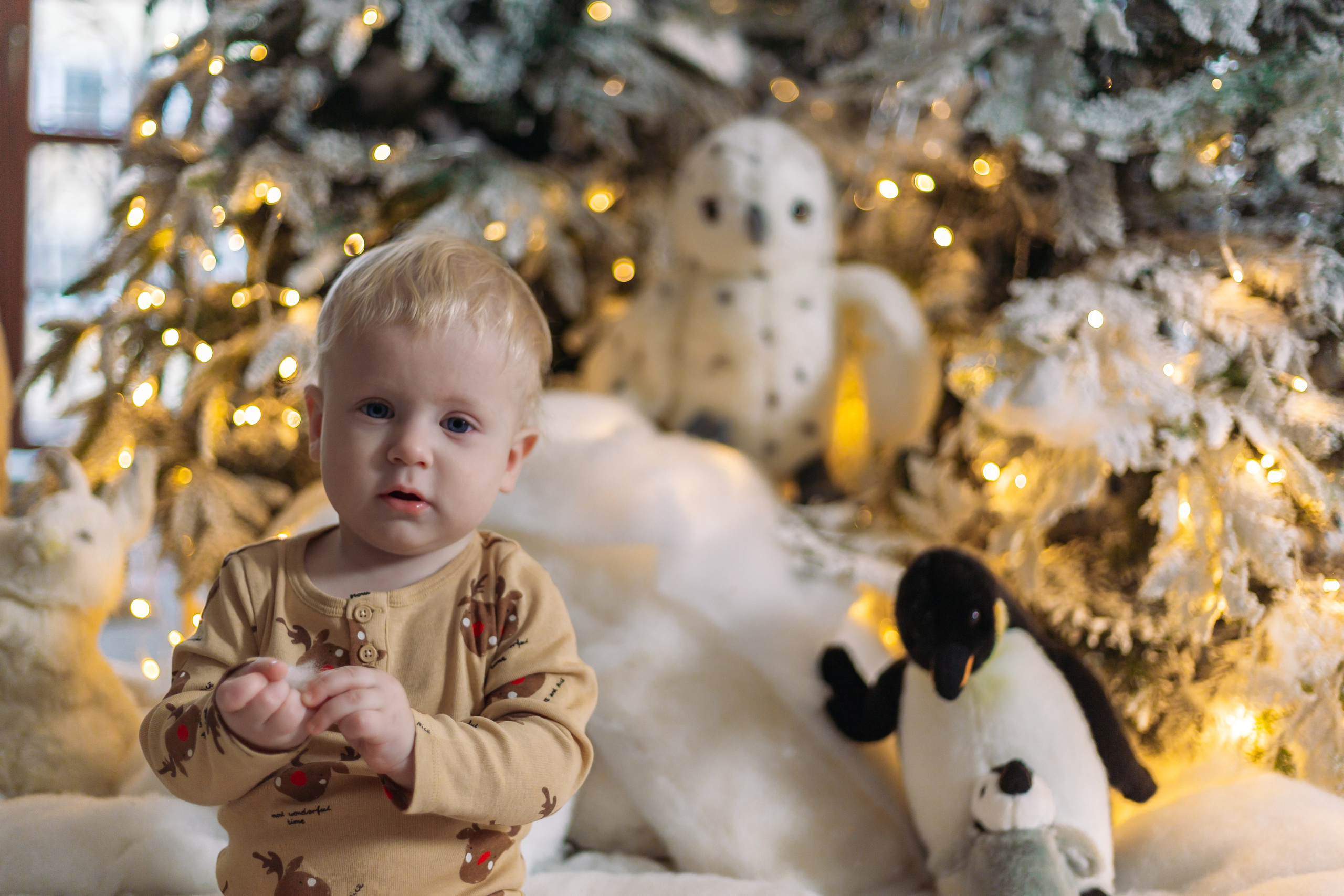 Новогодняя съёмка. Семейный и художественный фотограф в Тюмени Юлия Логинова