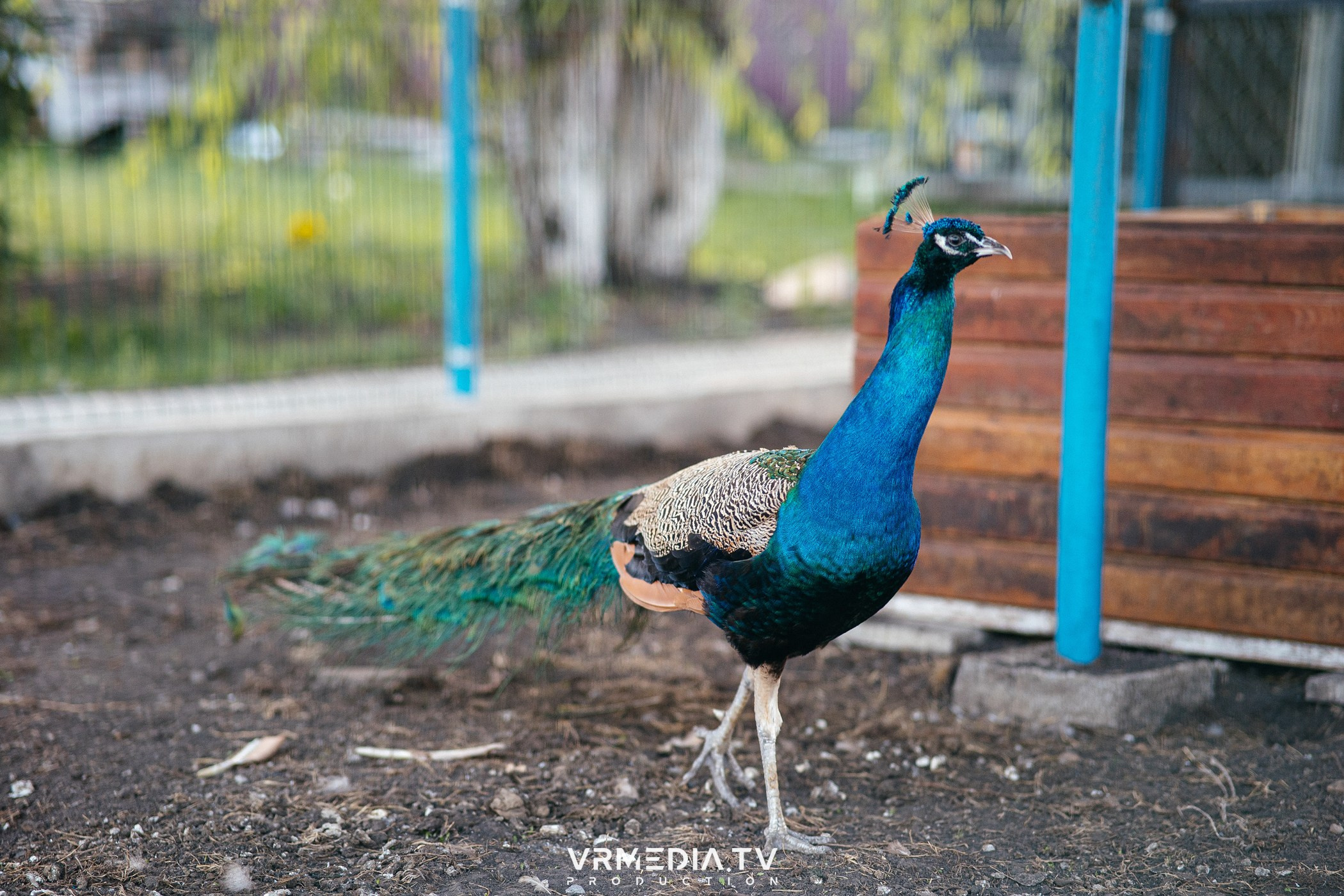 ЖАРКАЯ ПЯТНИЦА в ресторане «Империя»