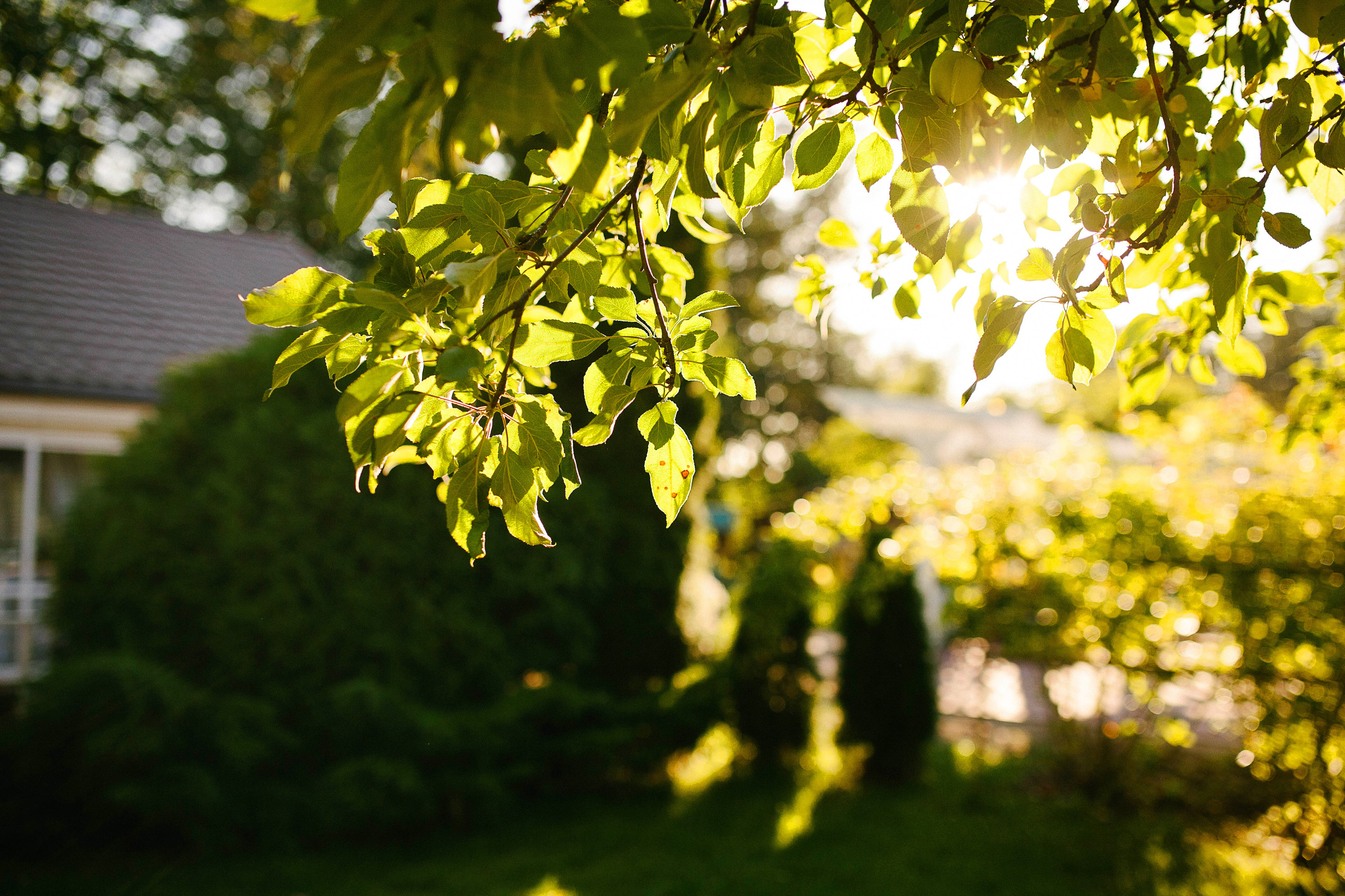 Ольга и Дмитрий. Семейный и свадебный фотограф в Калининграде