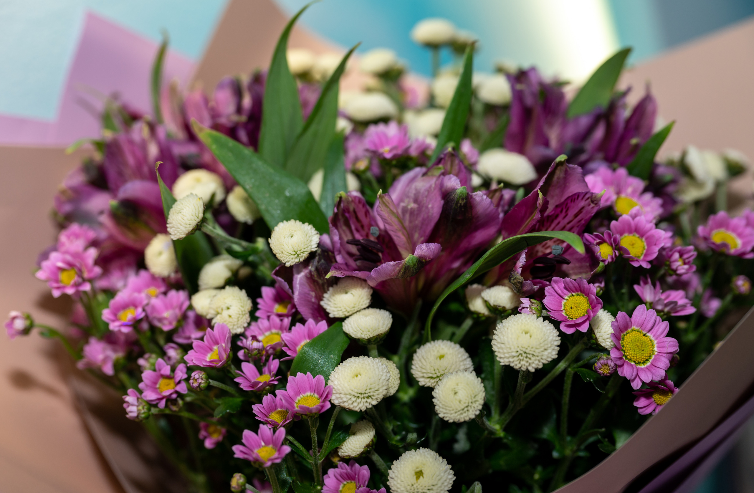 День рождения Алисы