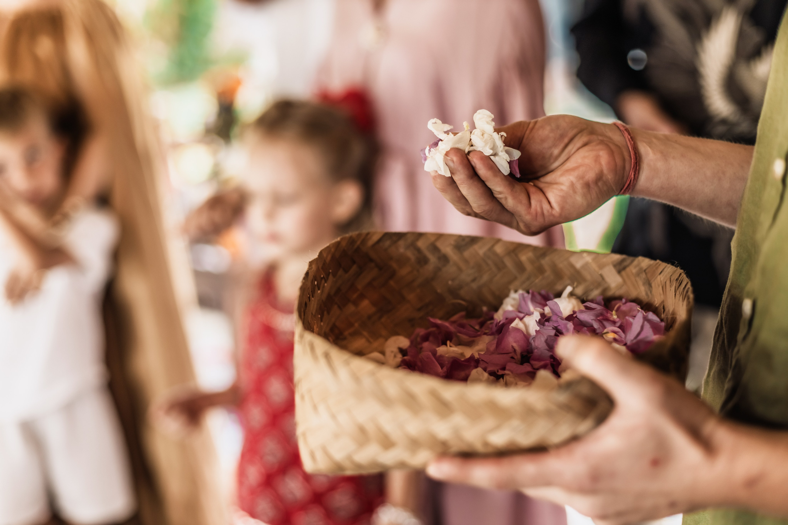 Wedding Karunika & Haridas. Mariam Bagdasaryan