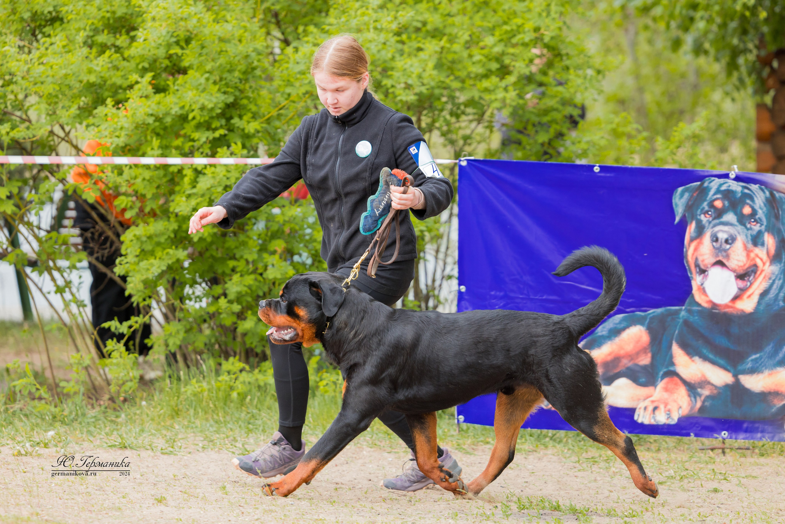 Саратов 2 х моно ротвейлеров 28-29.04.2024. Фотограф-анималист Юлия Германика