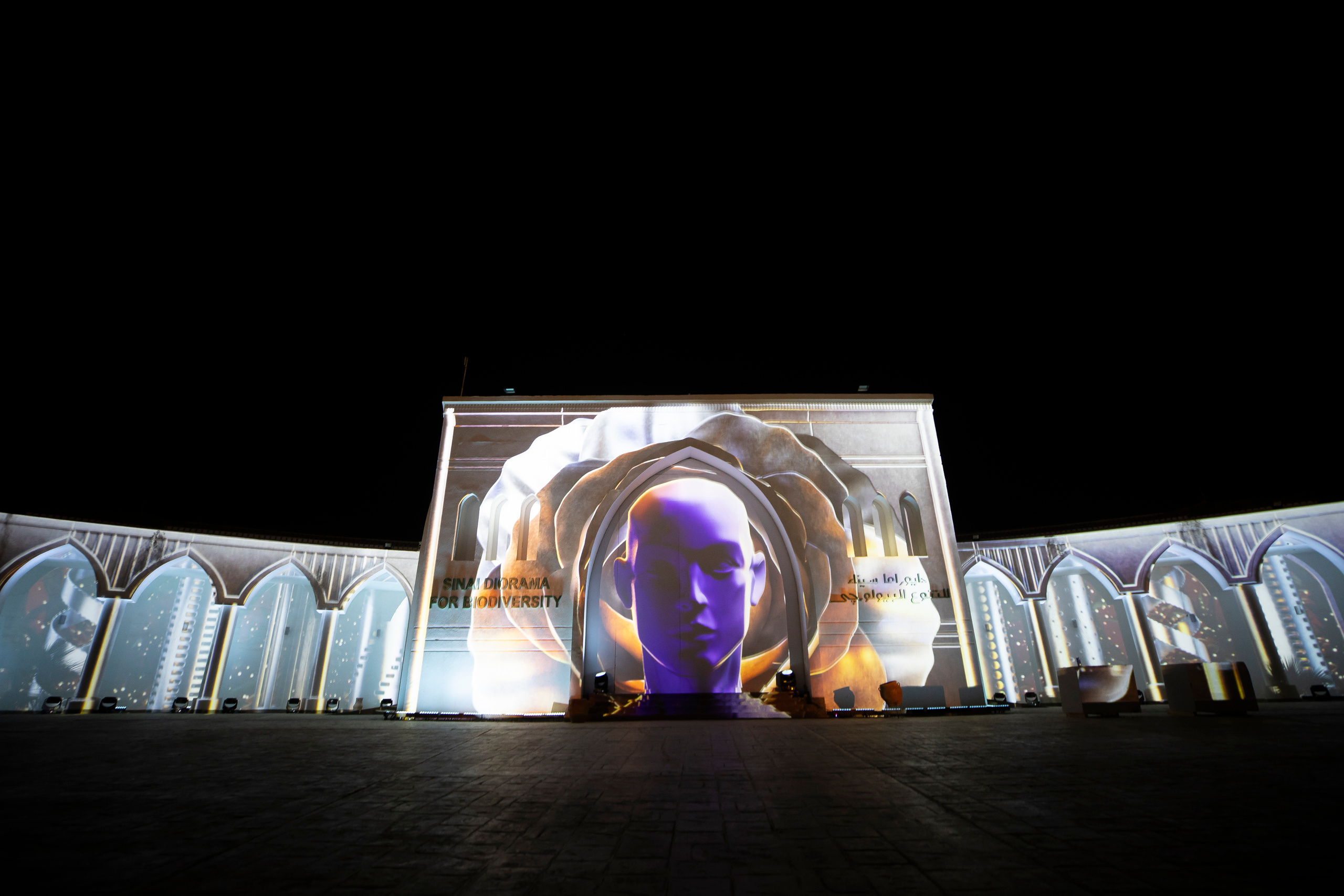 Мэппинг шоу для COP 27. OOPS