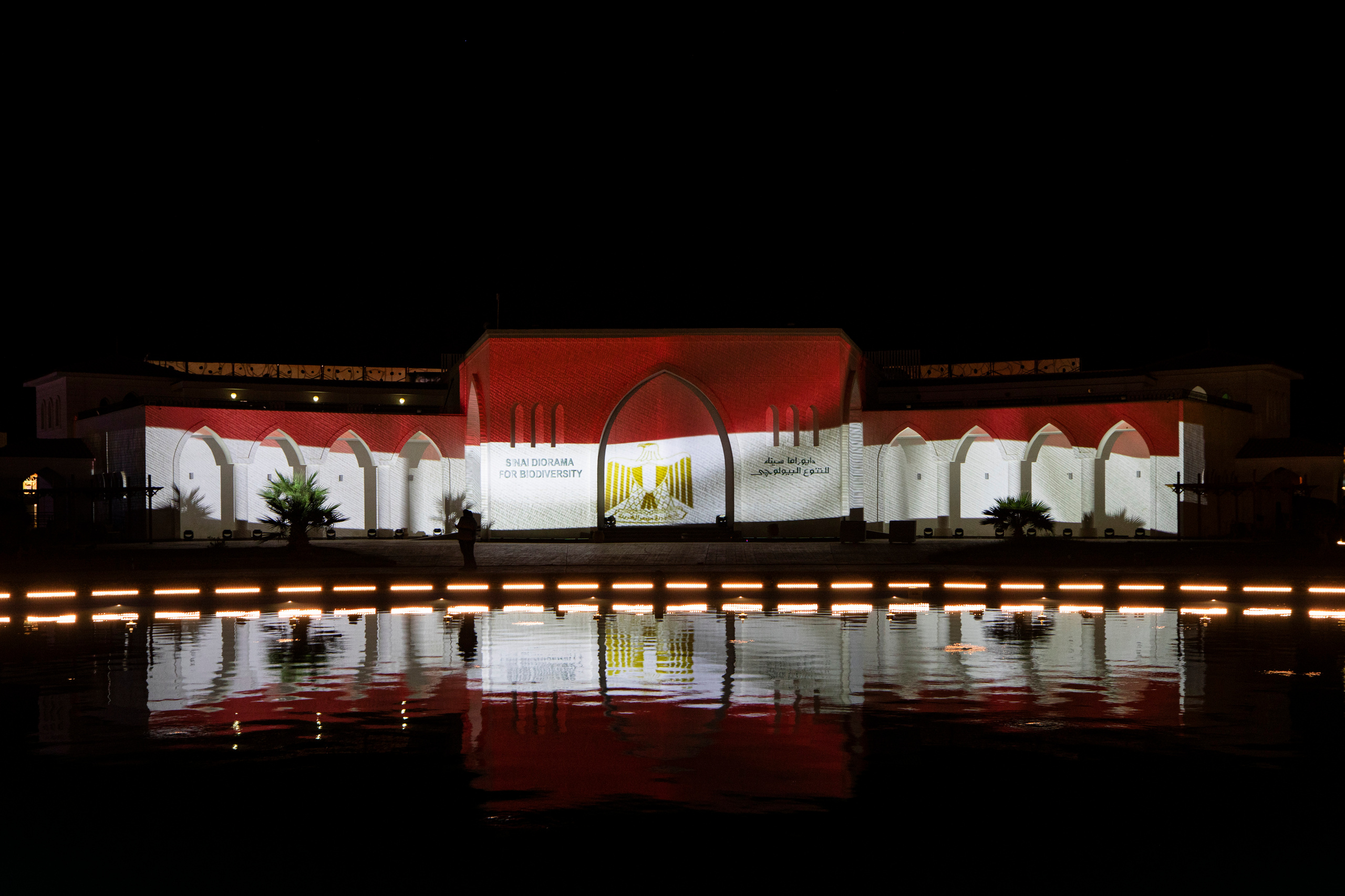 Мэппинг шоу для COP 27. OOPS