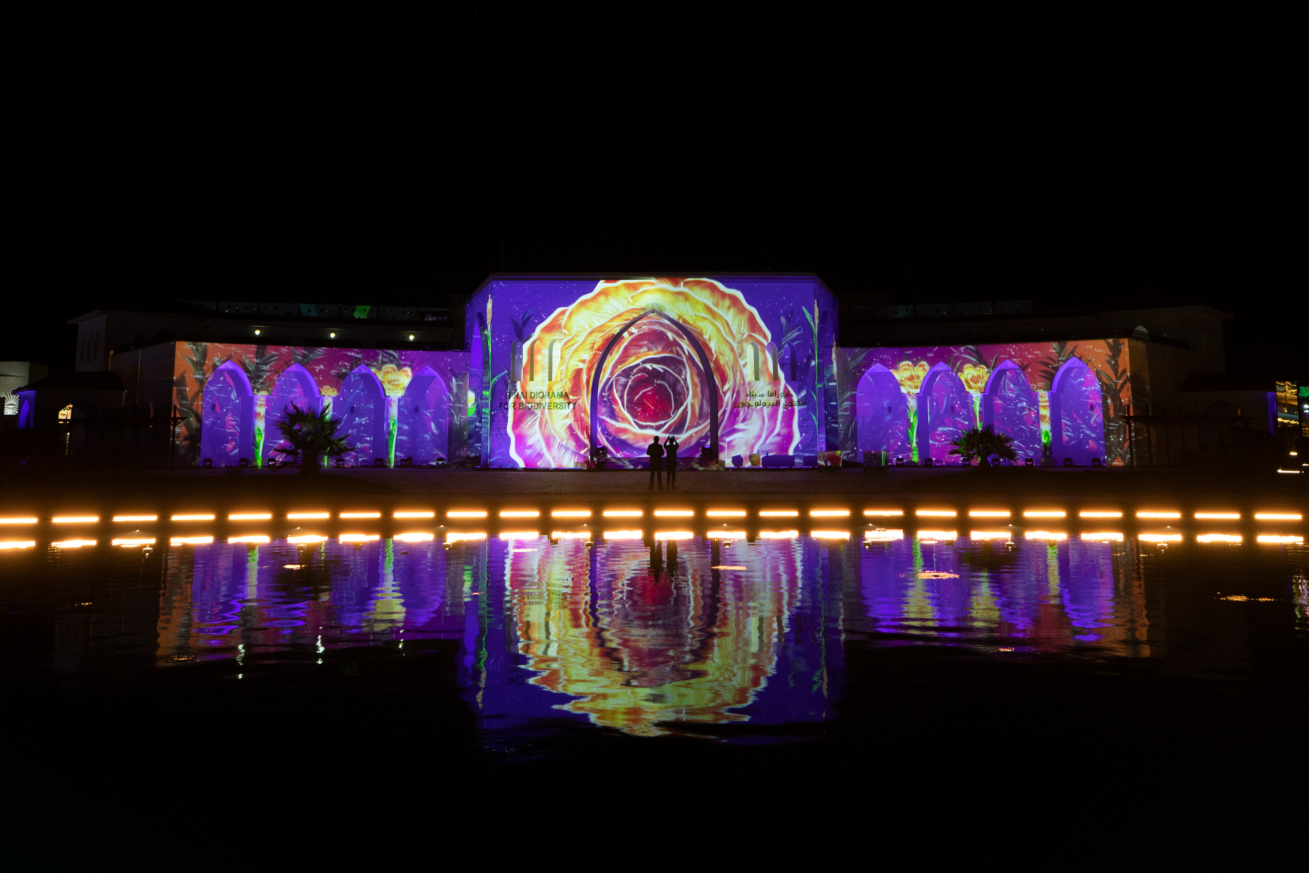 Мэппинг шоу для COP 27. OOPS