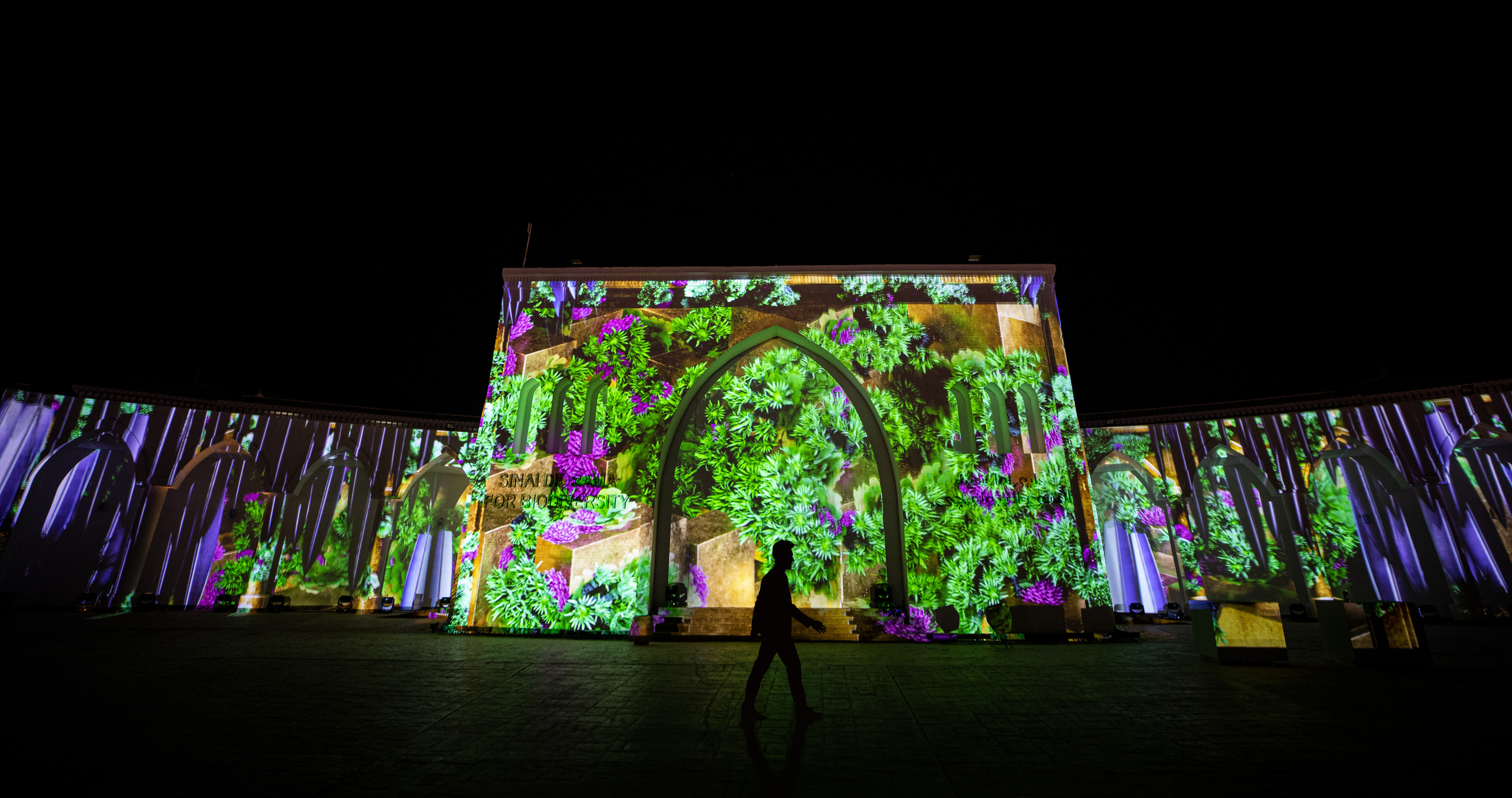 Мэппинг шоу для COP 27. OOPS