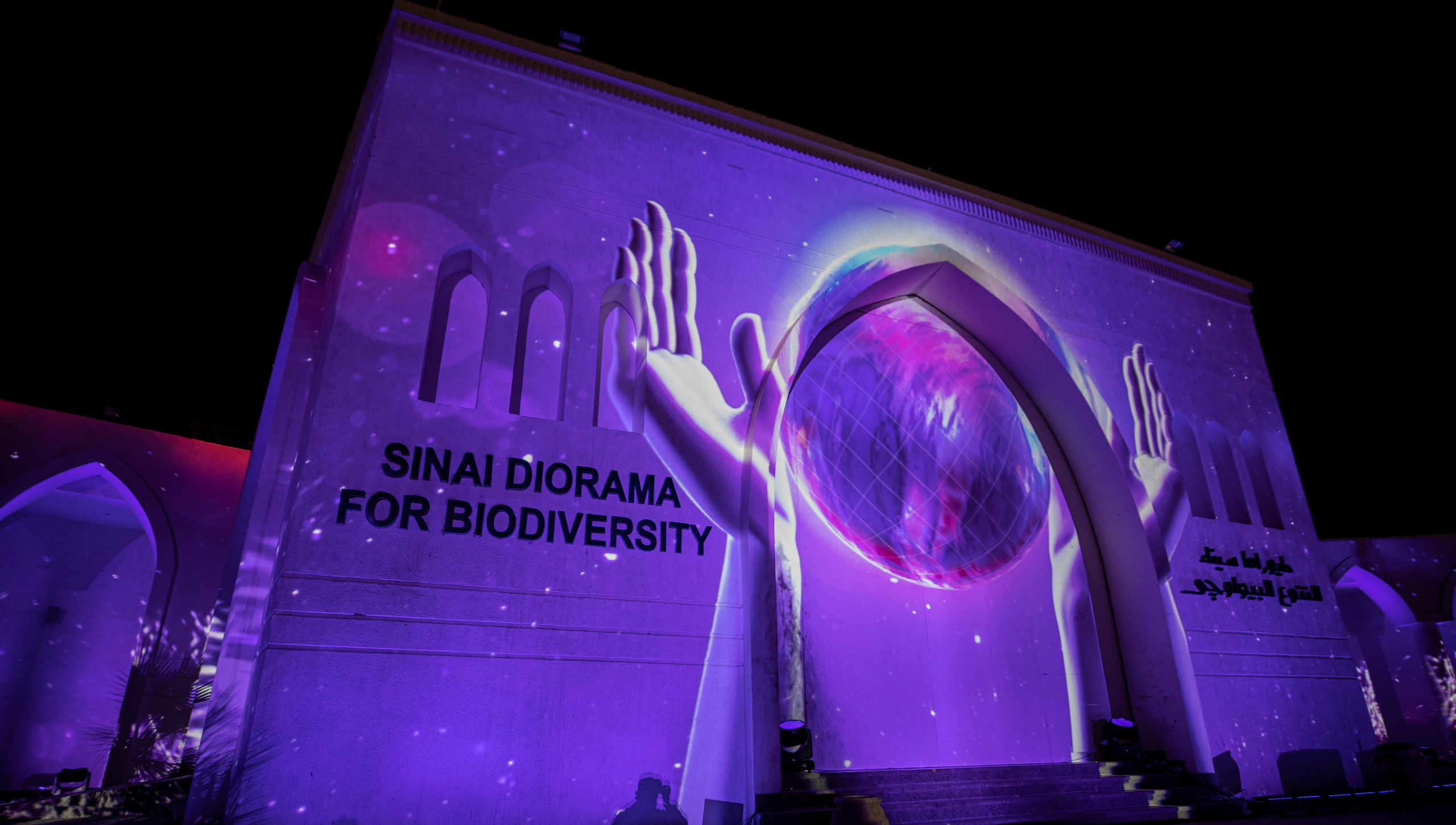 Мэппинг шоу для COP 27. OOPS