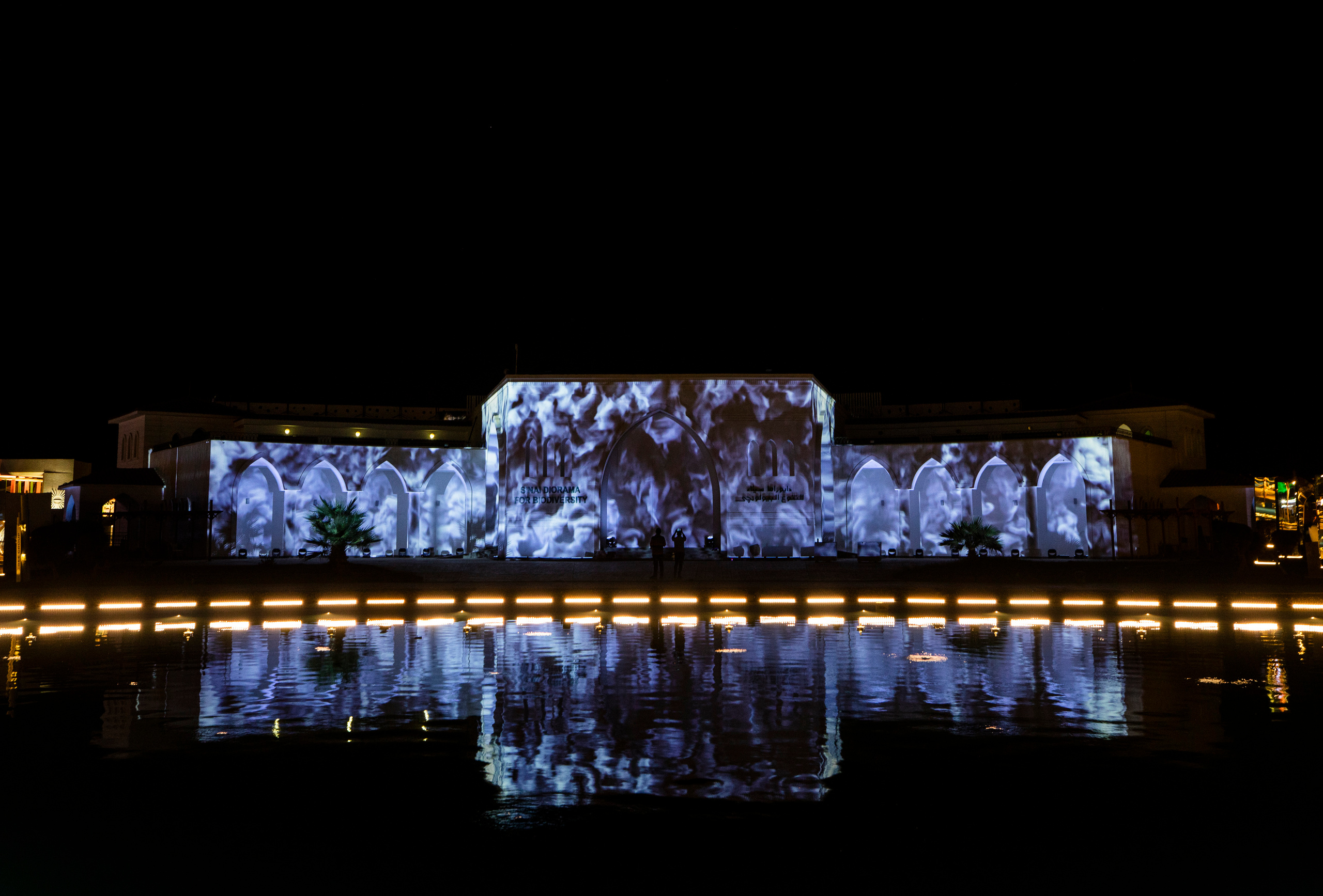 Мэппинг шоу для COP 27. OOPS