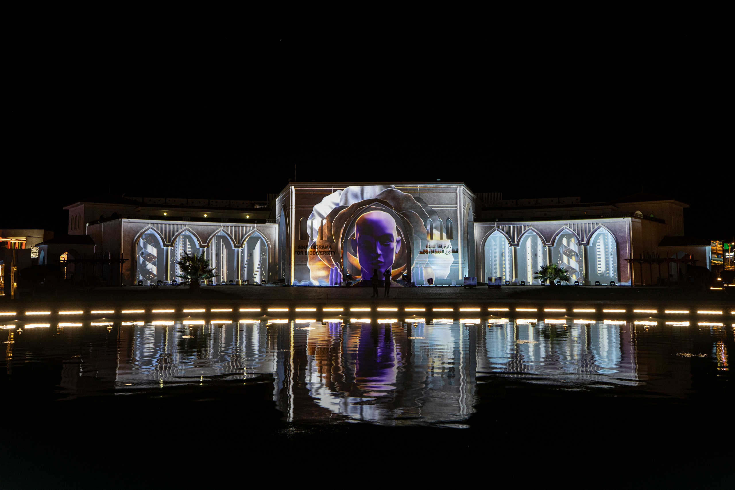 Мэппинг шоу для COP 27. OOPS