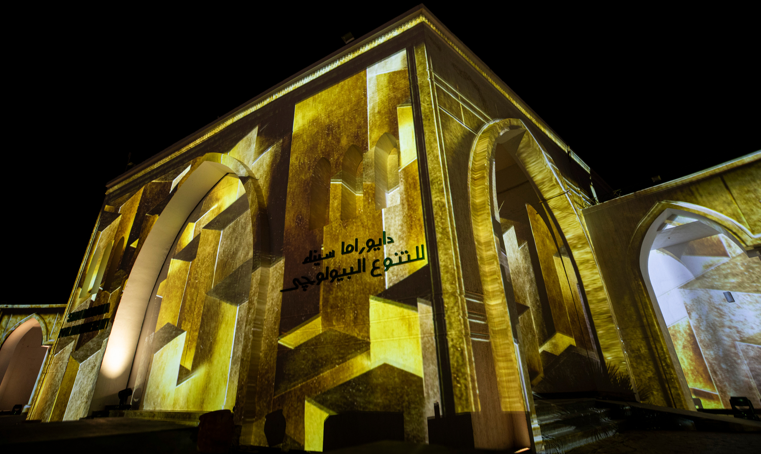 Мэппинг шоу для COP 27. OOPS