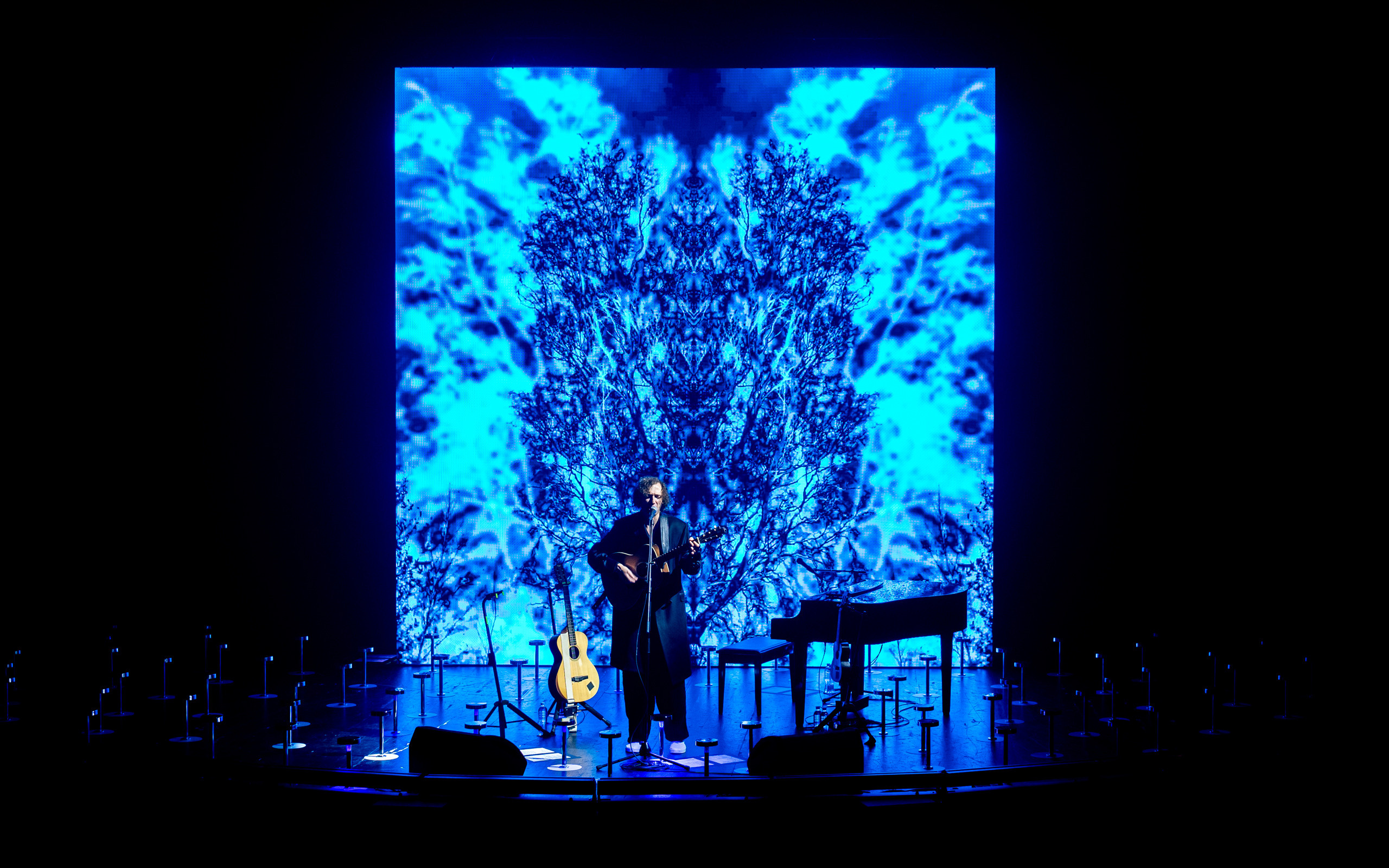 ZOLOTO / Acoustics / 2023. OOPS TEAM