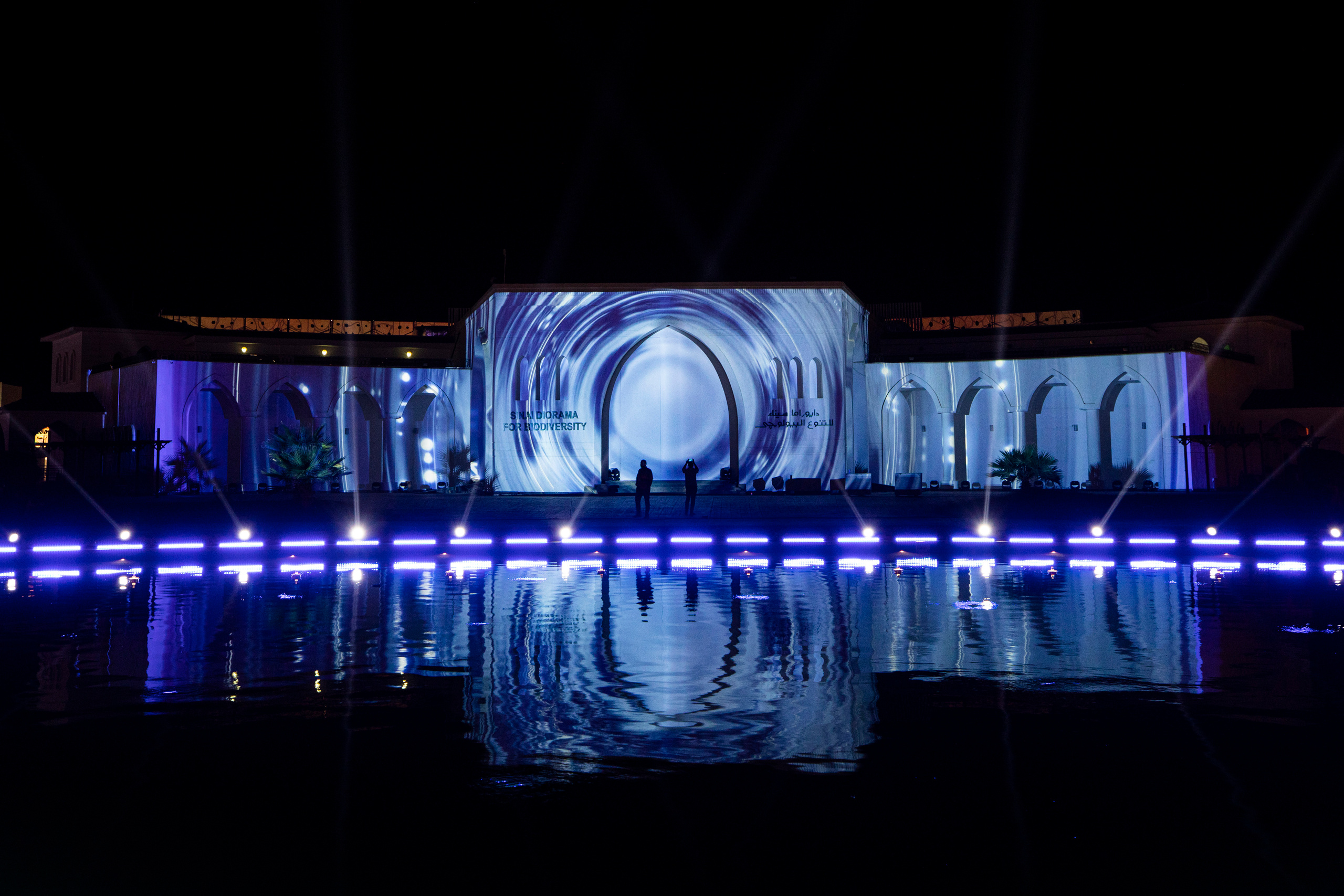 Мэппинг шоу для COP 27. OOPS