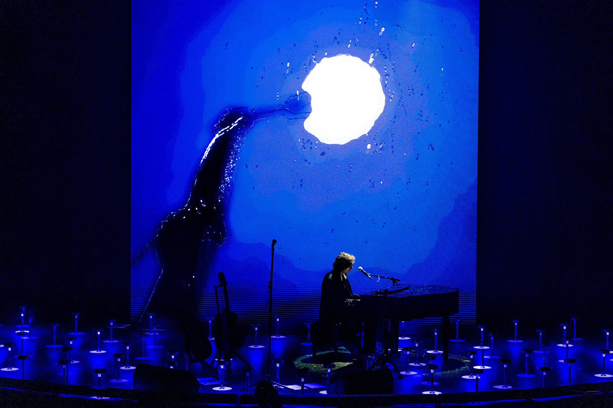 ZOLOTO / Acoustics / 2023. OOPS TEAM