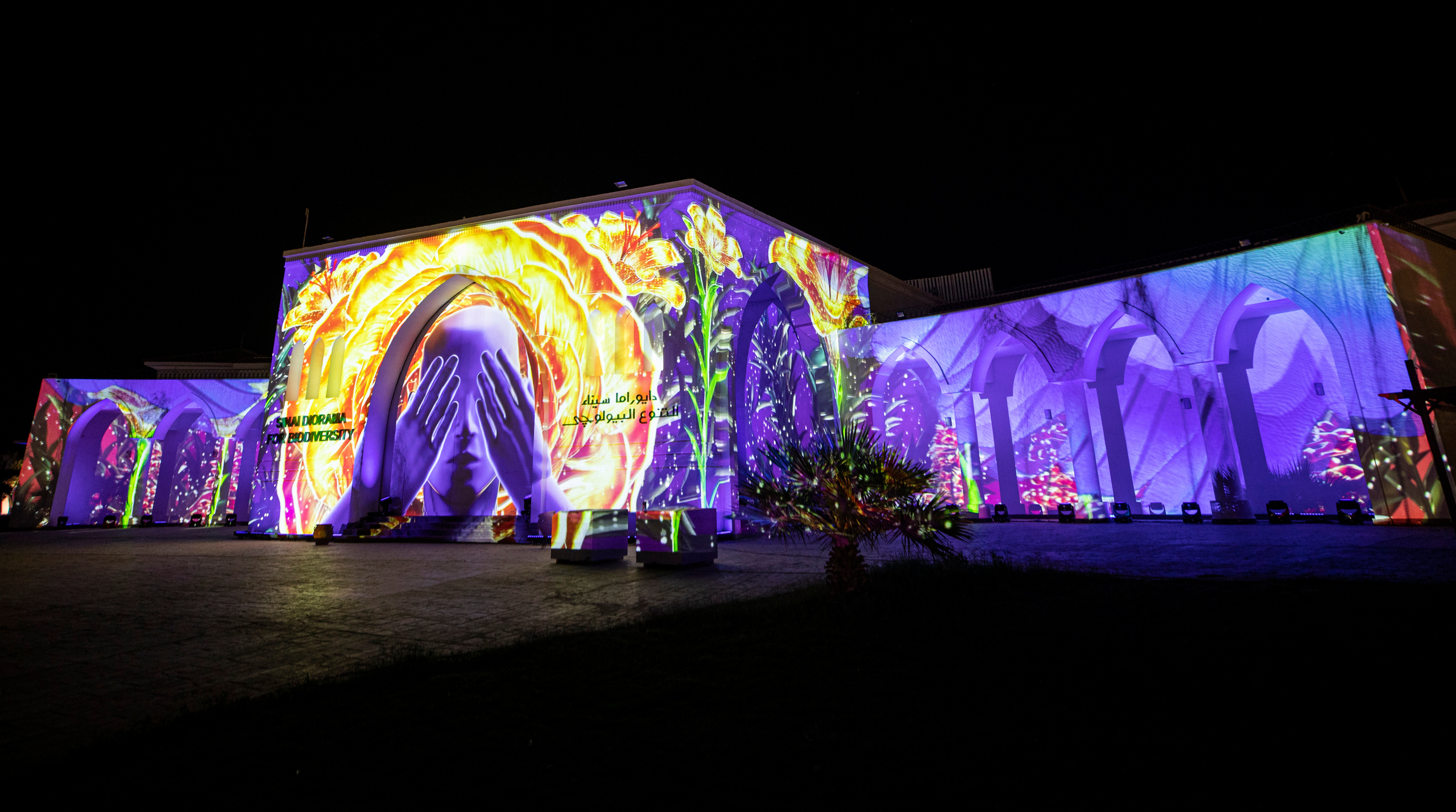 Мэппинг шоу для COP 27. OOPS