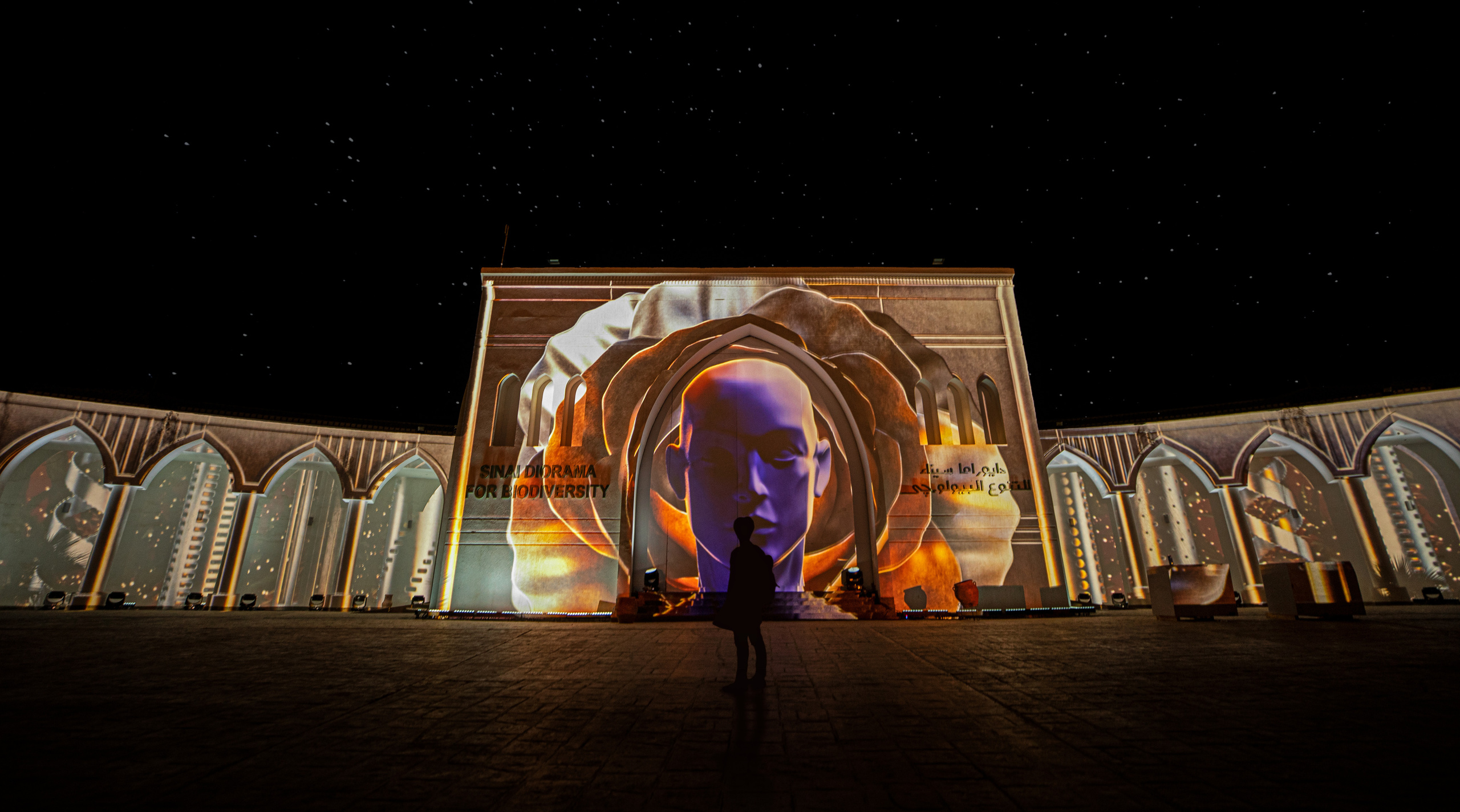 Мэппинг шоу для COP 27. OOPS