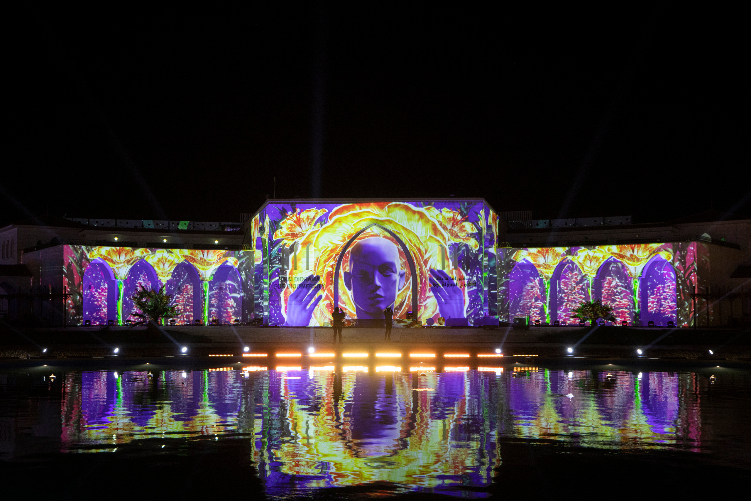 Мэппинг шоу для COP 27. OOPS