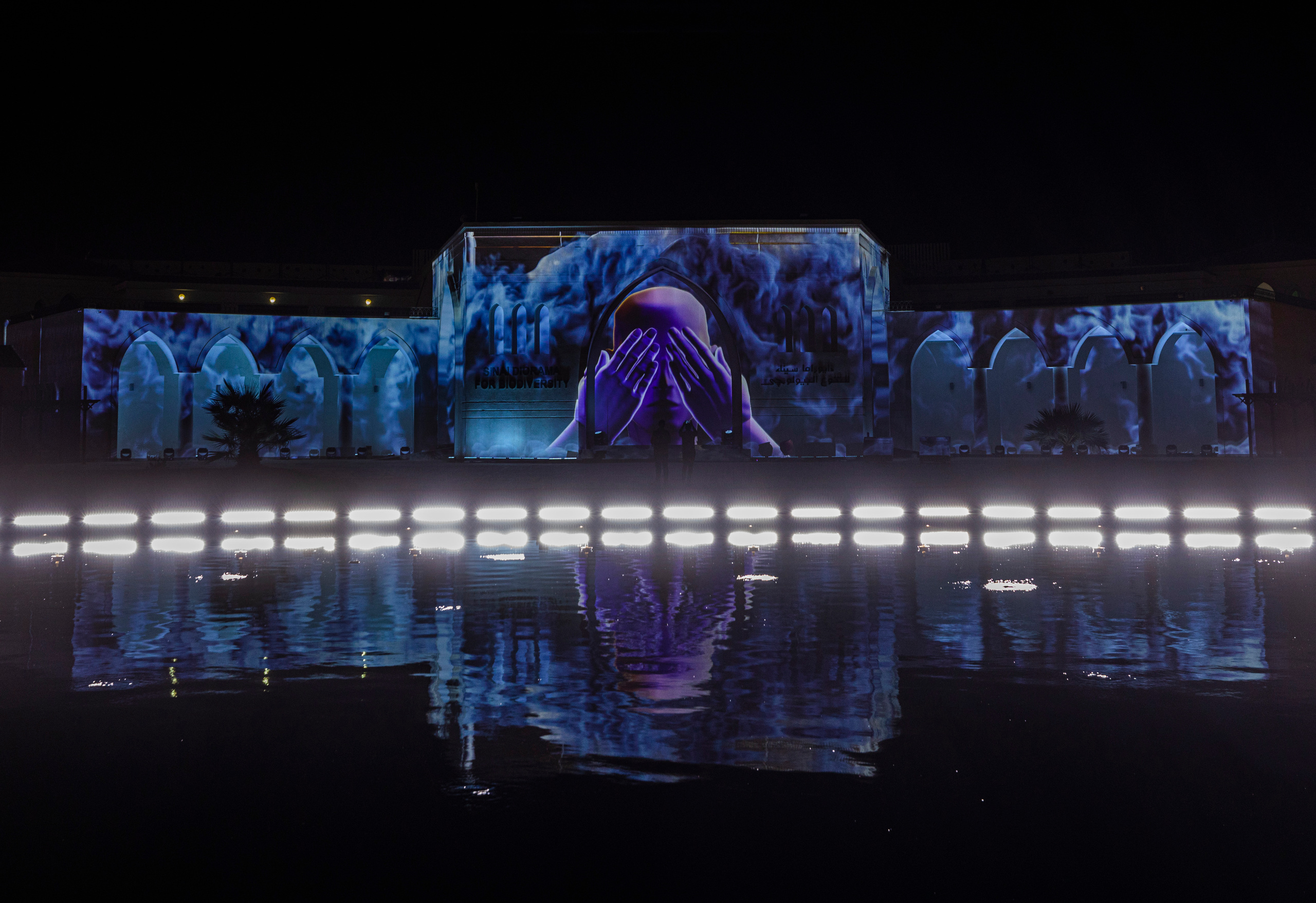 Мэппинг шоу для COP 27. OOPS