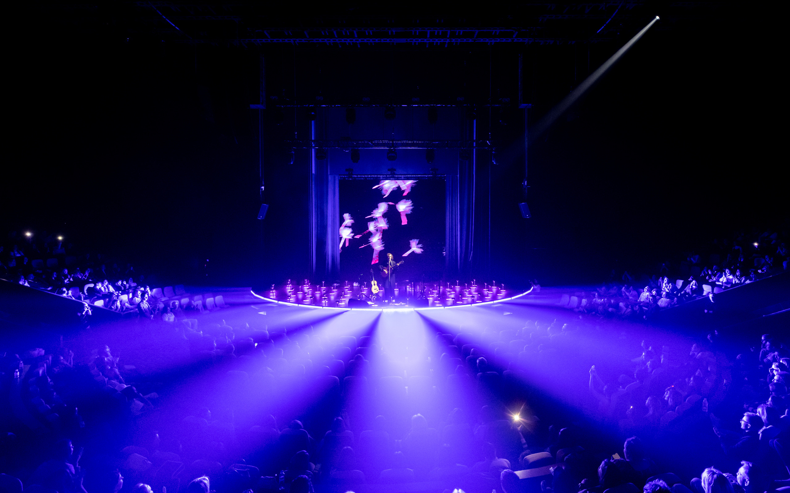 ZOLOTO / Acoustics / 2023. OOPS TEAM