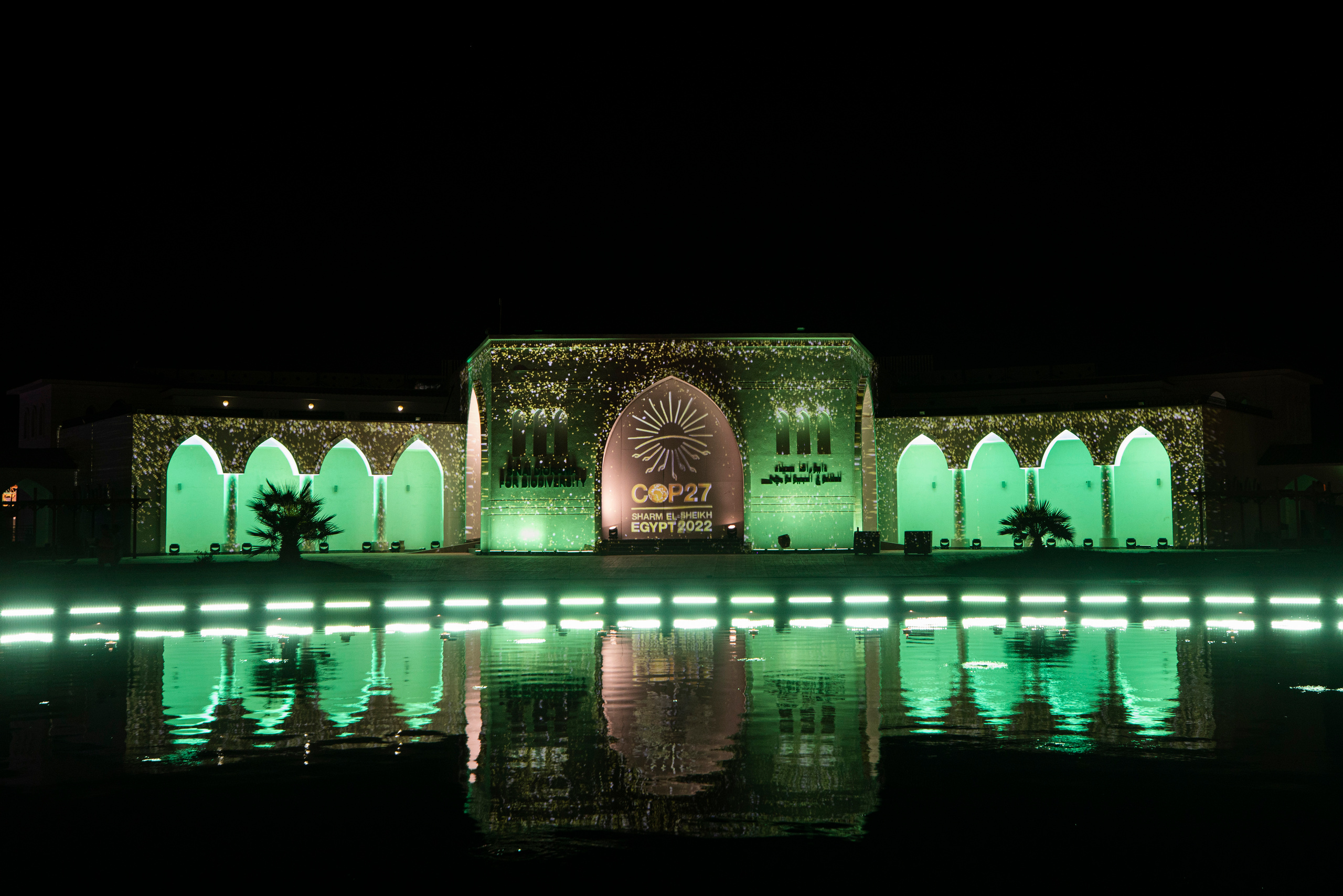 Мэппинг шоу для COP 27. OOPS