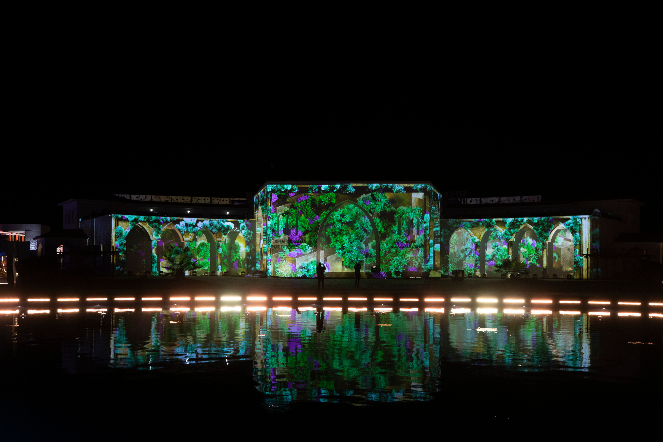 Мэппинг шоу для COP 27. OOPS