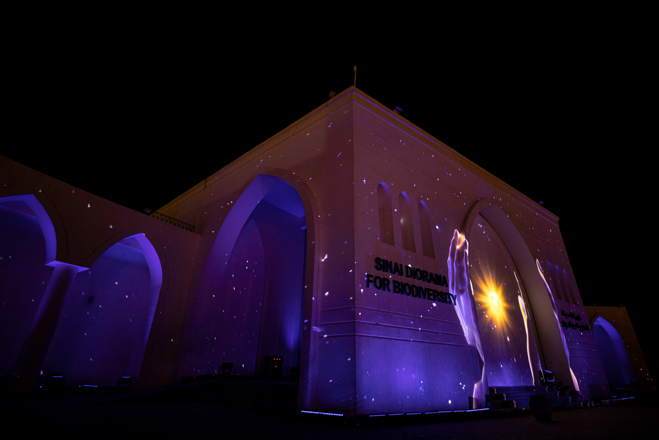 Мэппинг шоу для COP 27. OOPS