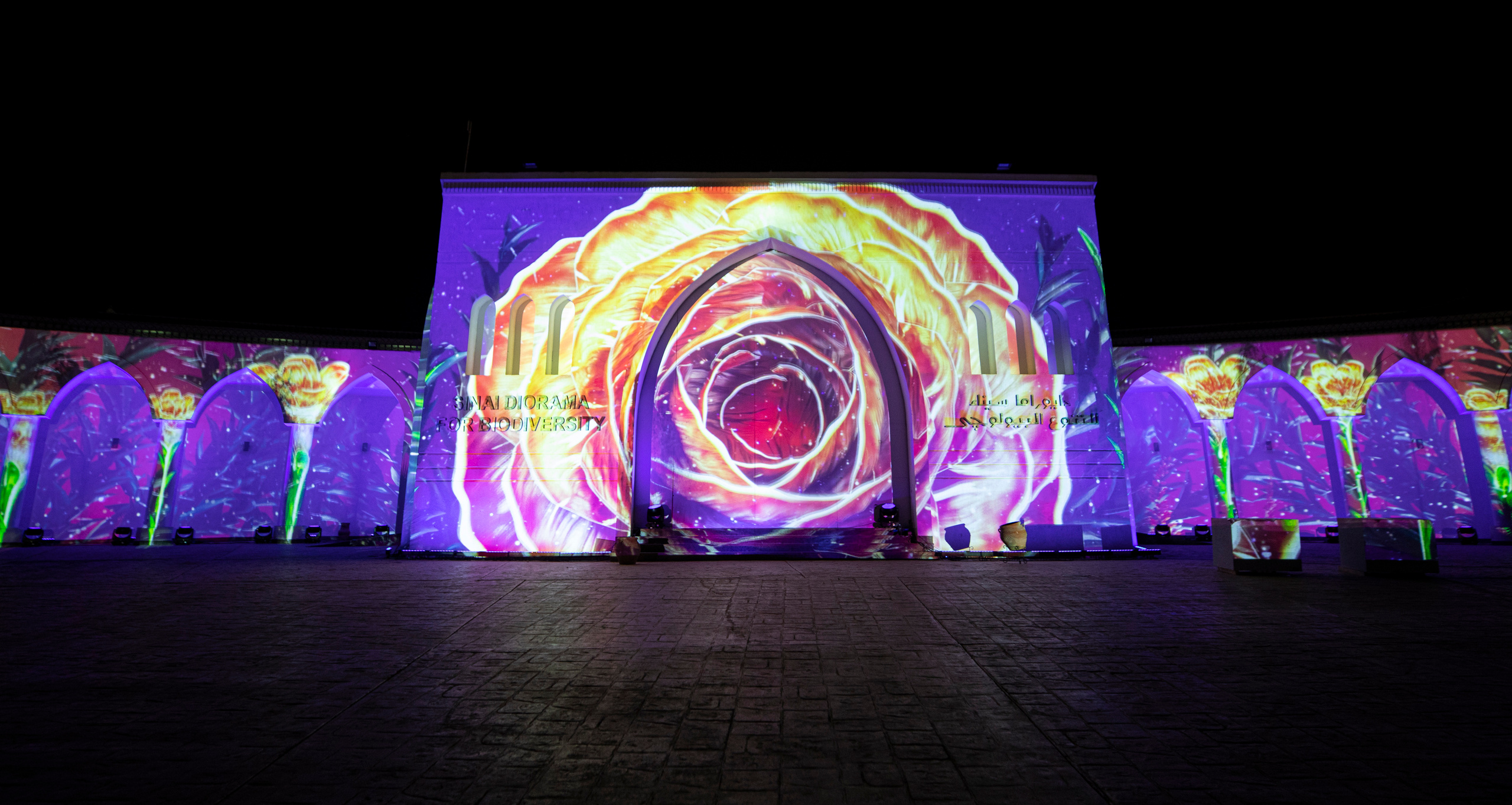 Мэппинг шоу для COP 27. OOPS